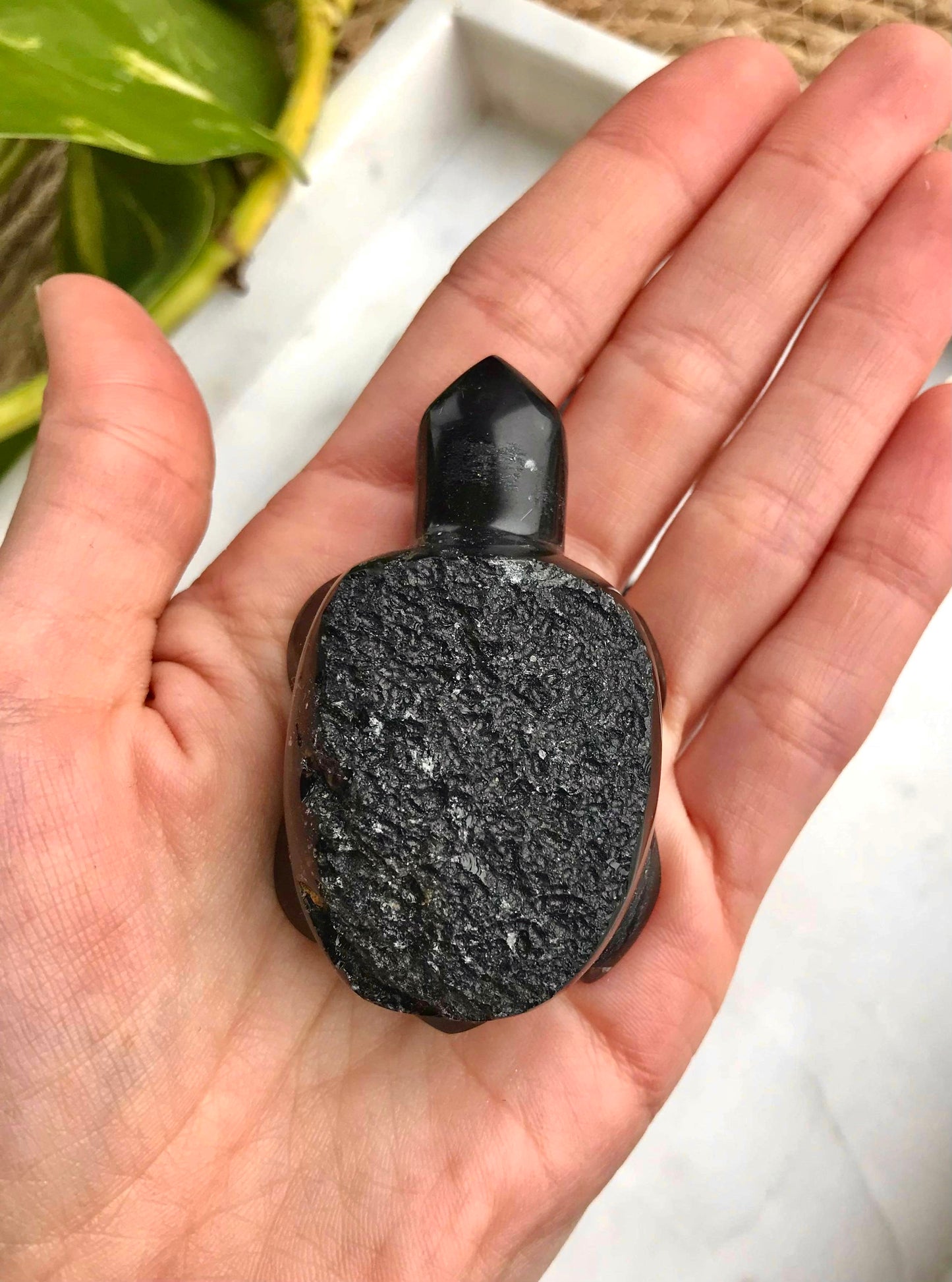 Agni Manitite ‘Pearl of the Divine Fire’ Turtle Carving (Chipped Toe)