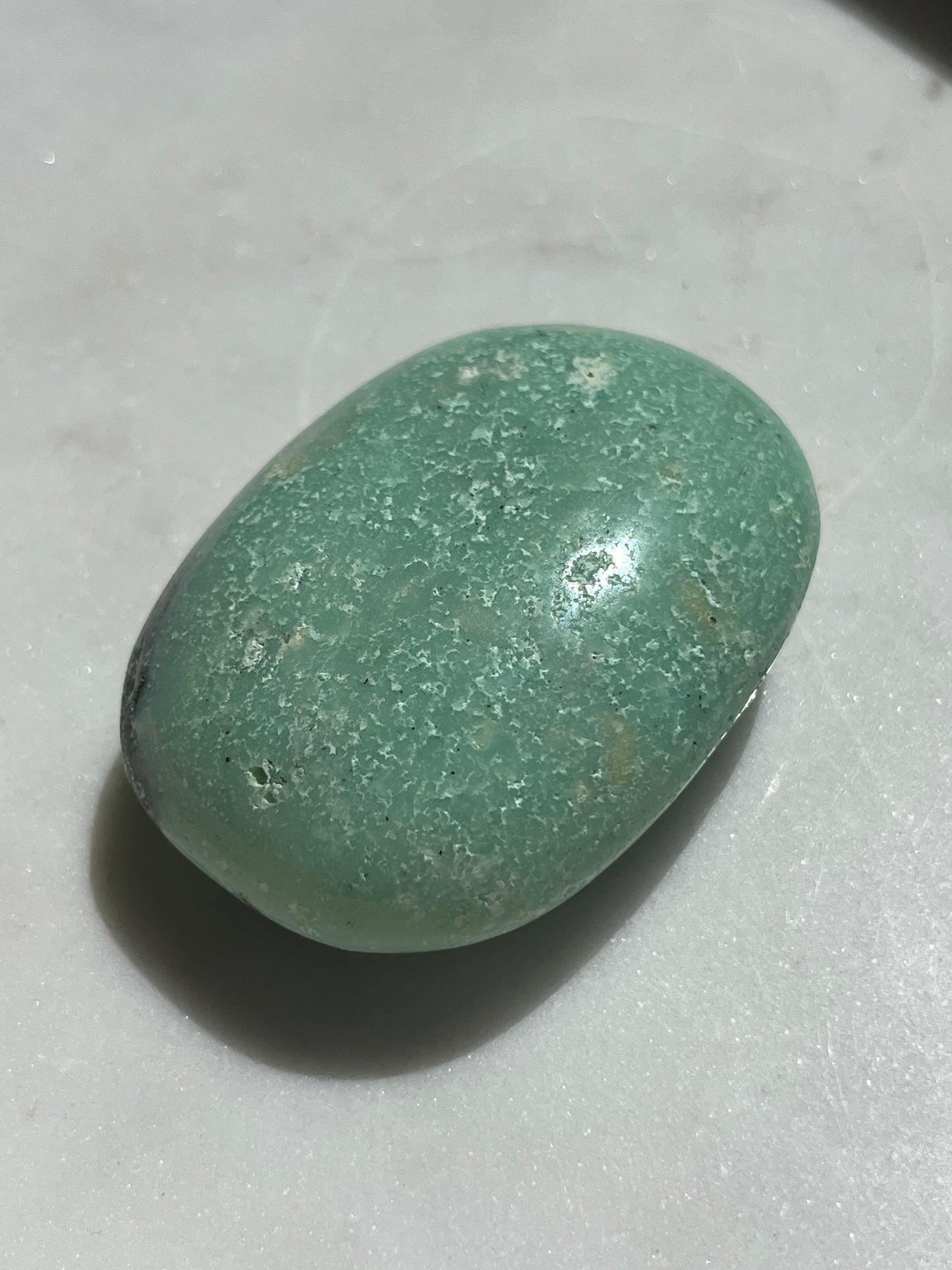 Indonesian Chrysoprase Palmstone w/Dendritic Inclusions #2