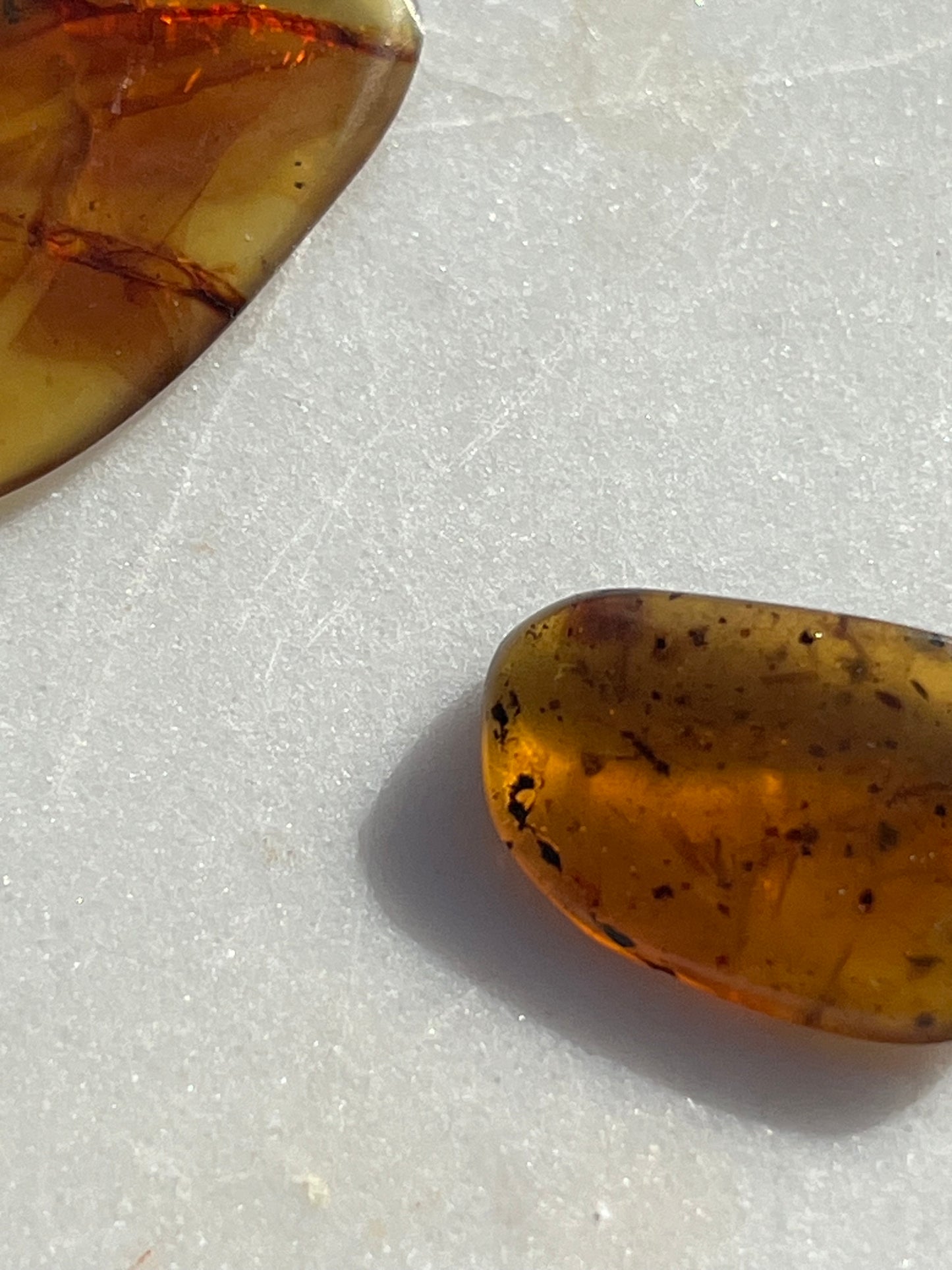 Polished Amber Specimen with Plant and/or Insect Inclusions