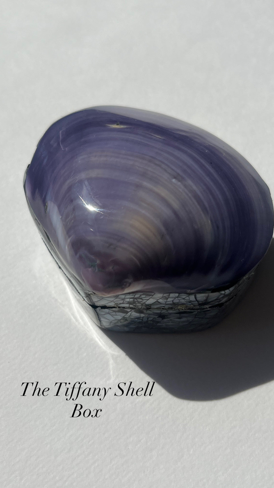 The Tiffany Shell Box with Paua Shell