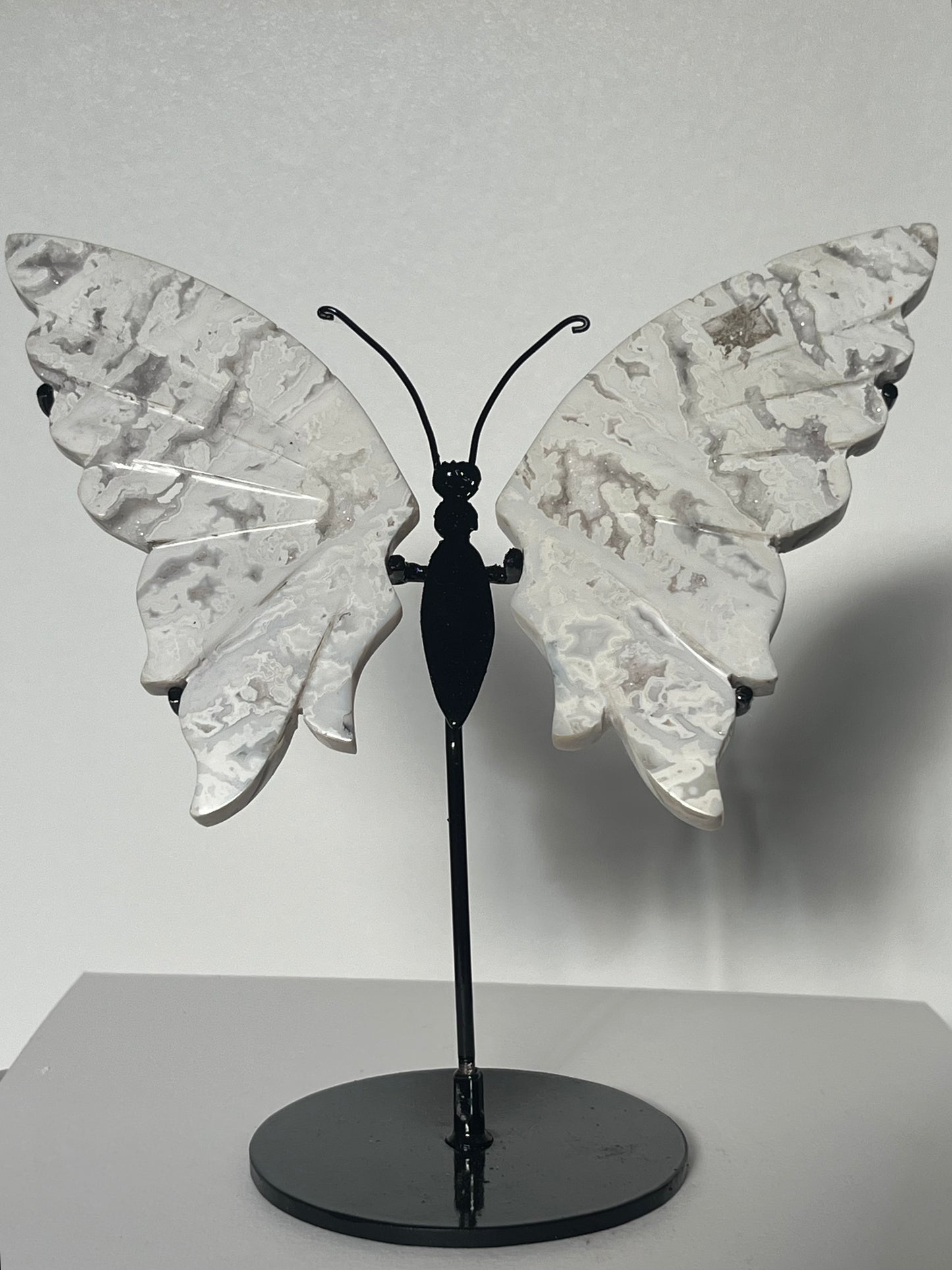 Druzy Snow Agate Butterfly Wings on Stand B