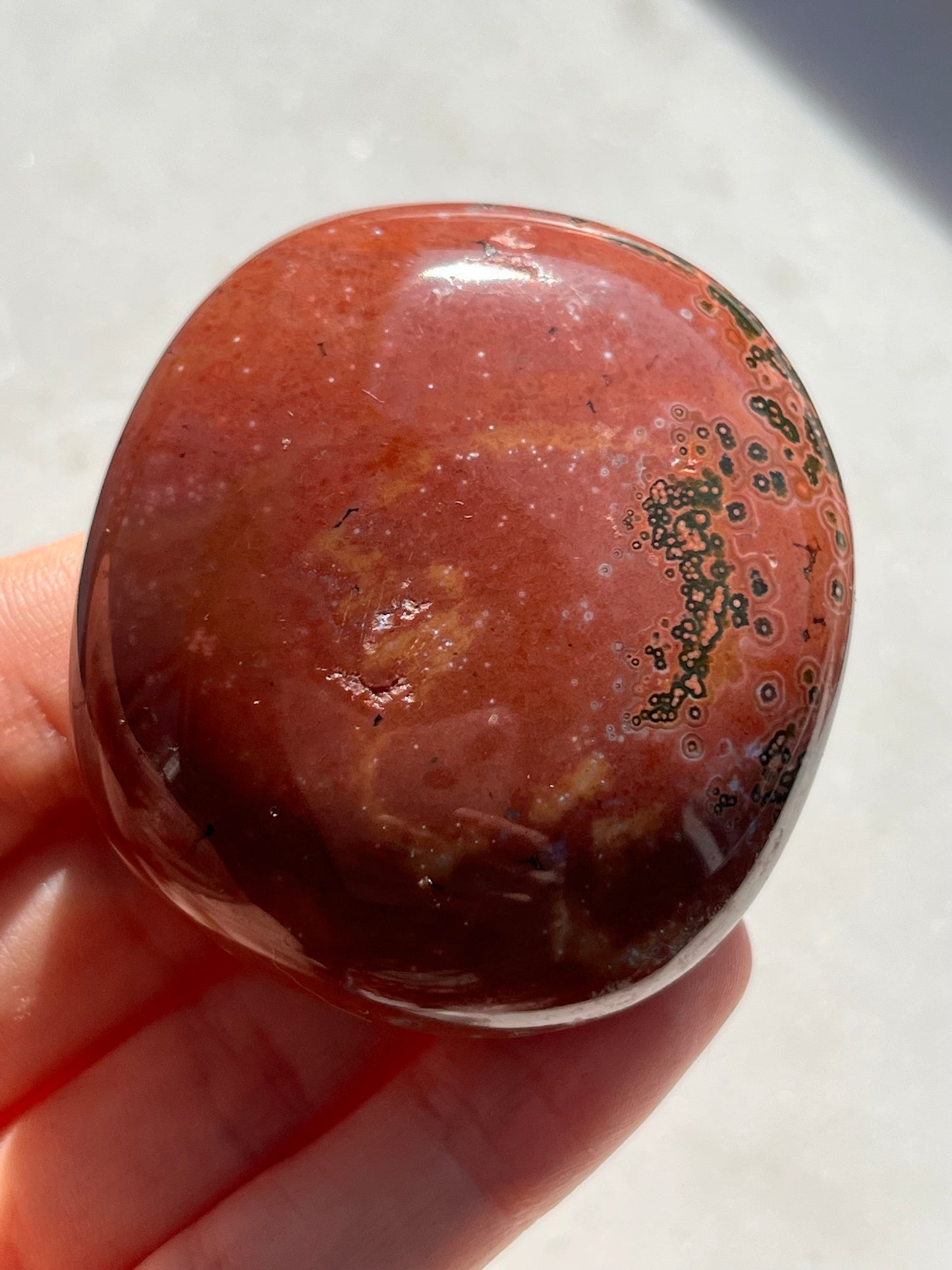 Veinless Ocean Jasper Palmstone #8