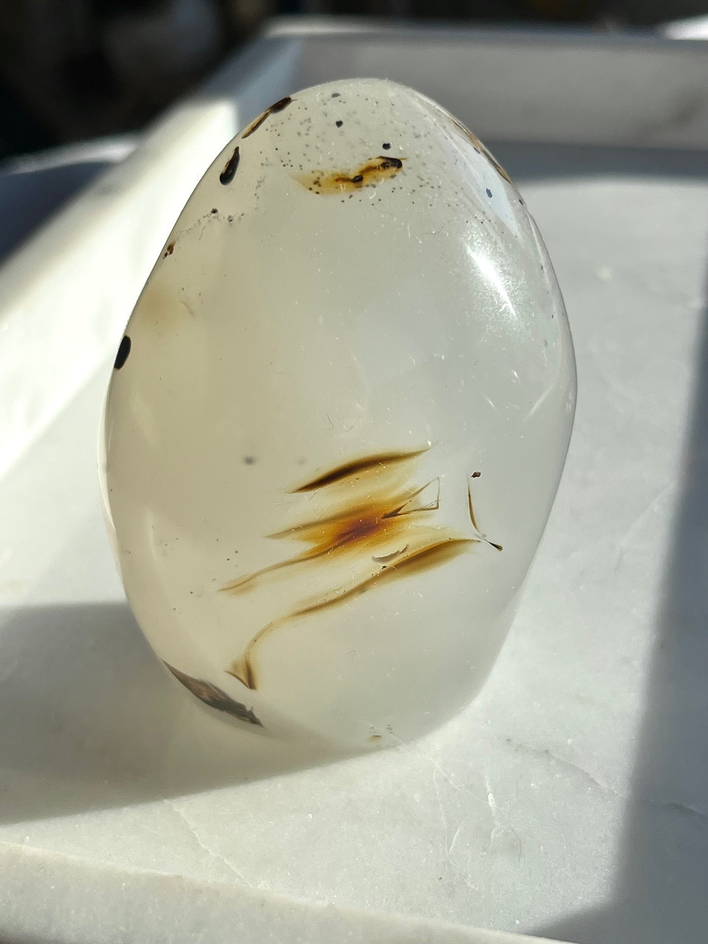 Dendritic Agate Freeform #6