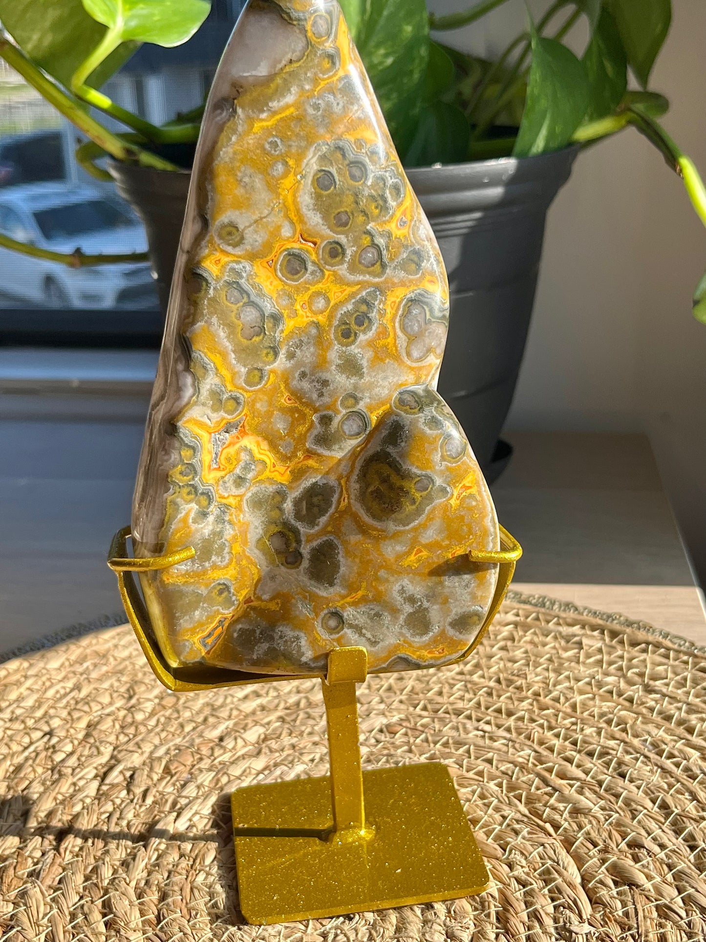 Rare Orbicular Bumblebee Jasper Polished Freeform on Stand #7
