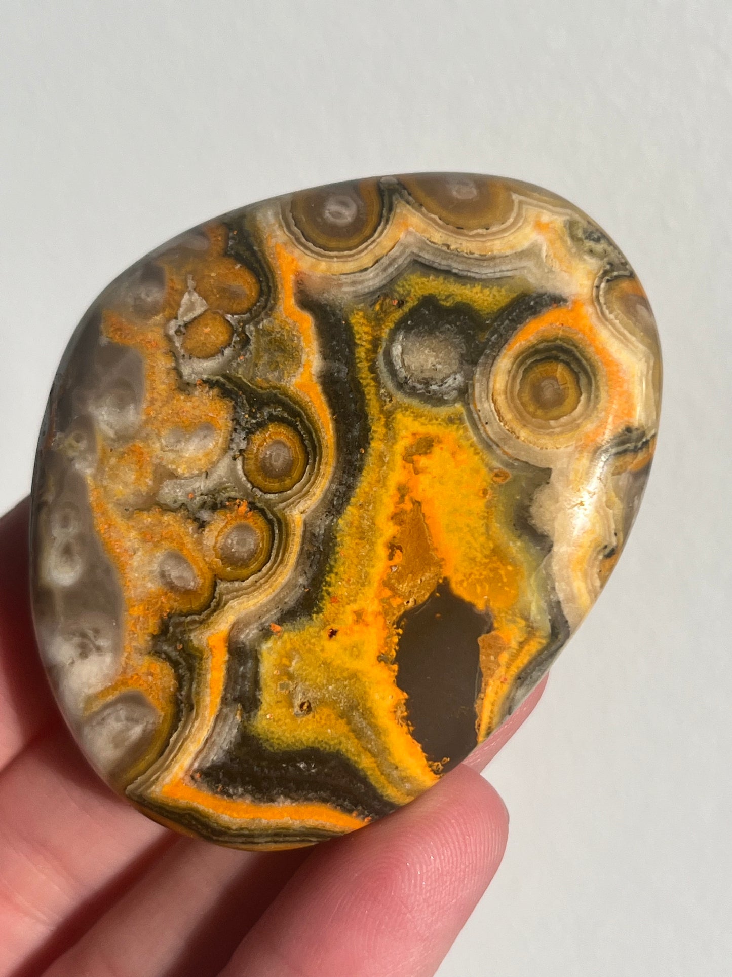 'Talisman' Old Stock Orbicular Bumblebee Jasper Palmstone (mined 2016)