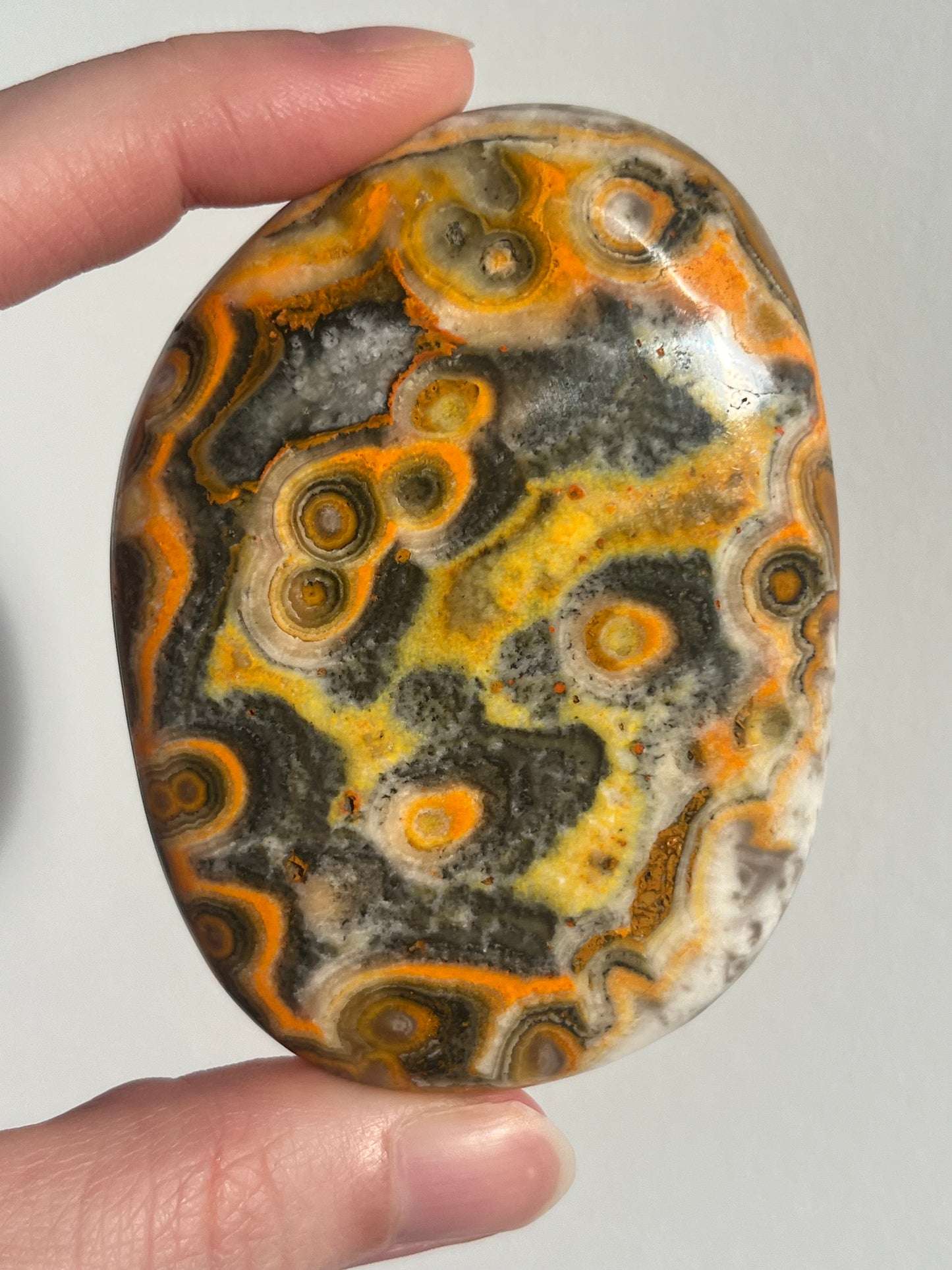'Nusantara' Old Stock Orbicular Bumblebee Jasper Palmstone (mined 2016)