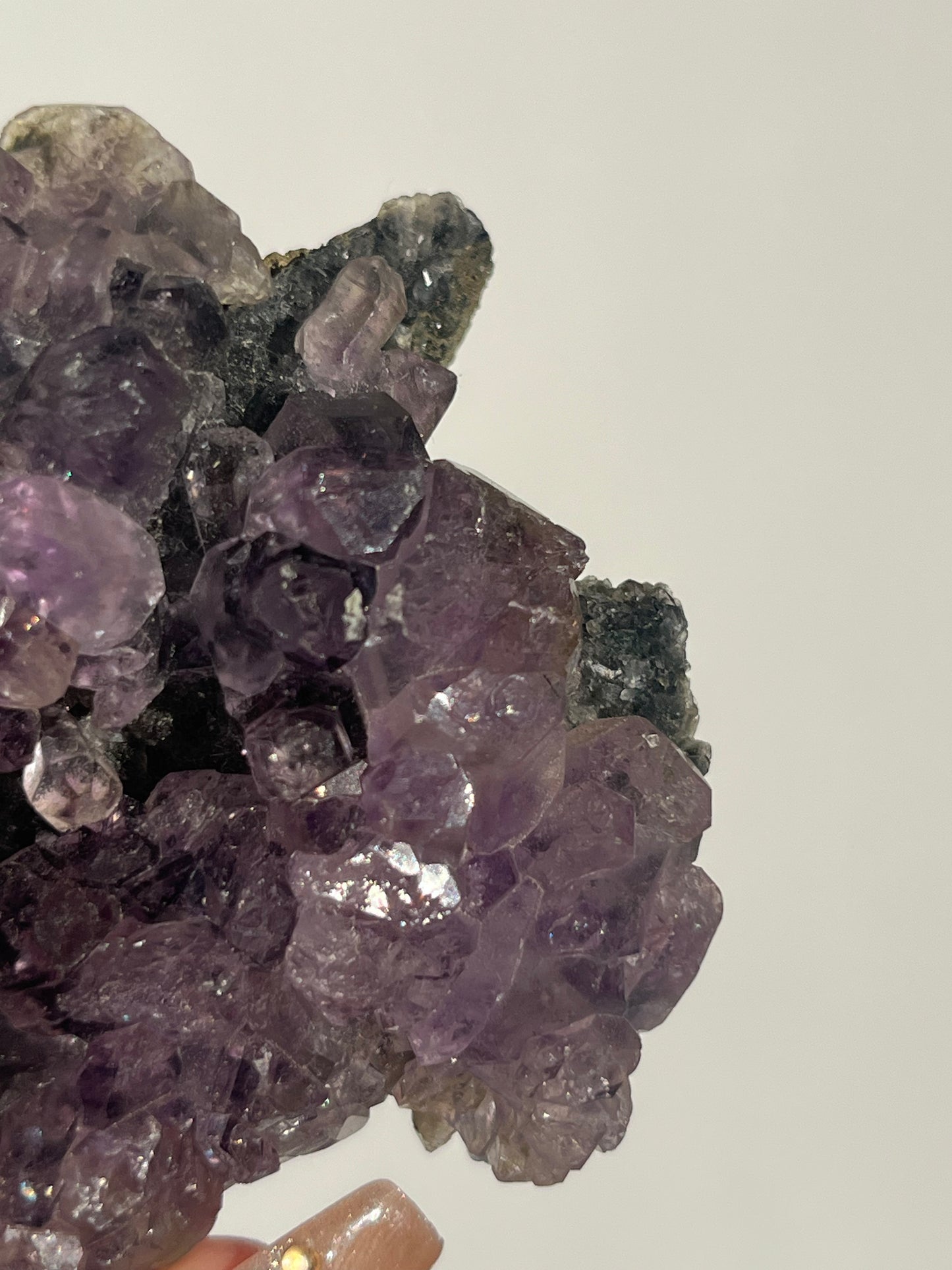 Sceptre Amethyst on Matrix Specimen C (Collector’s Choice)