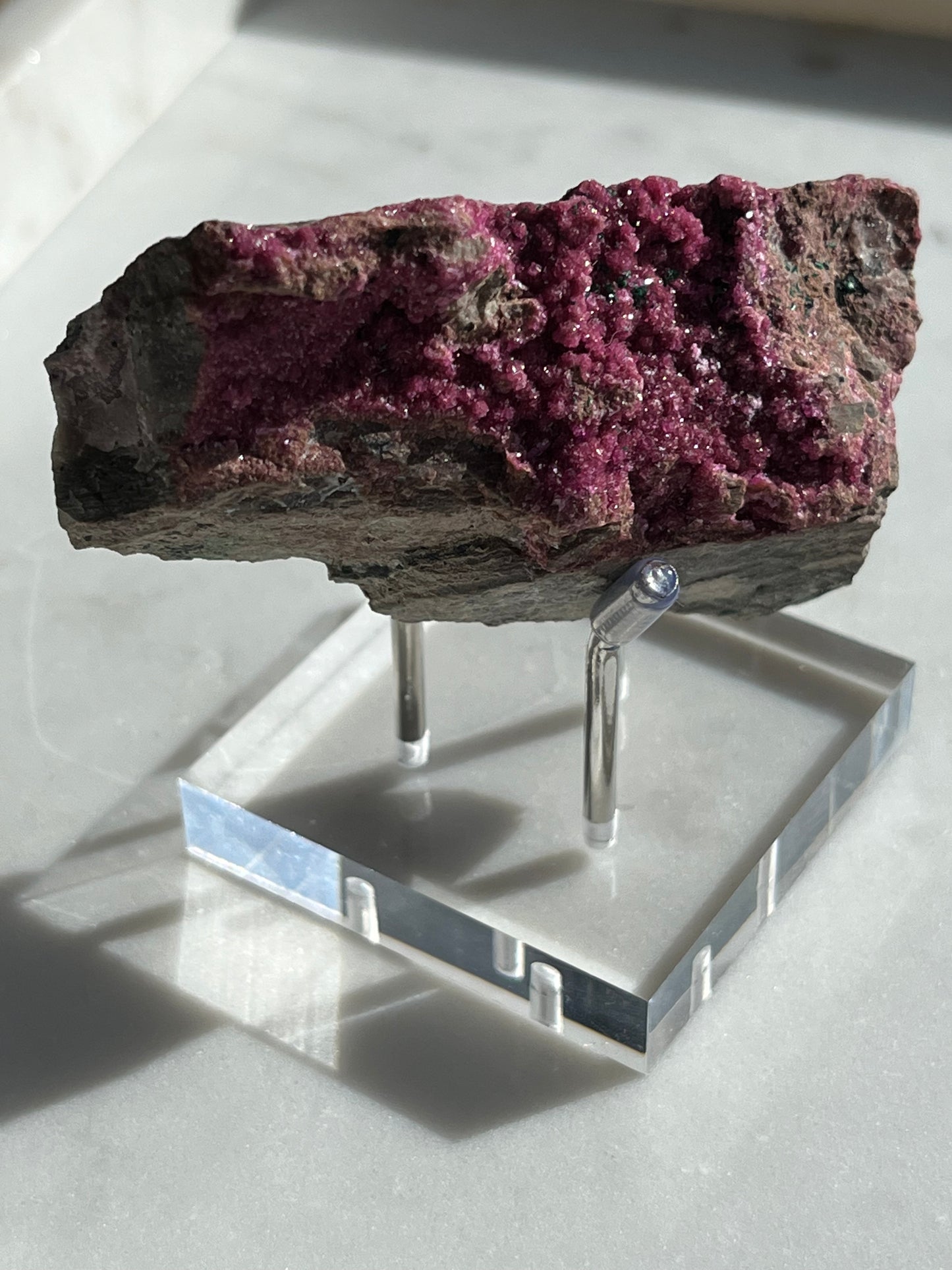 Three Leg Specimen Stand Silver