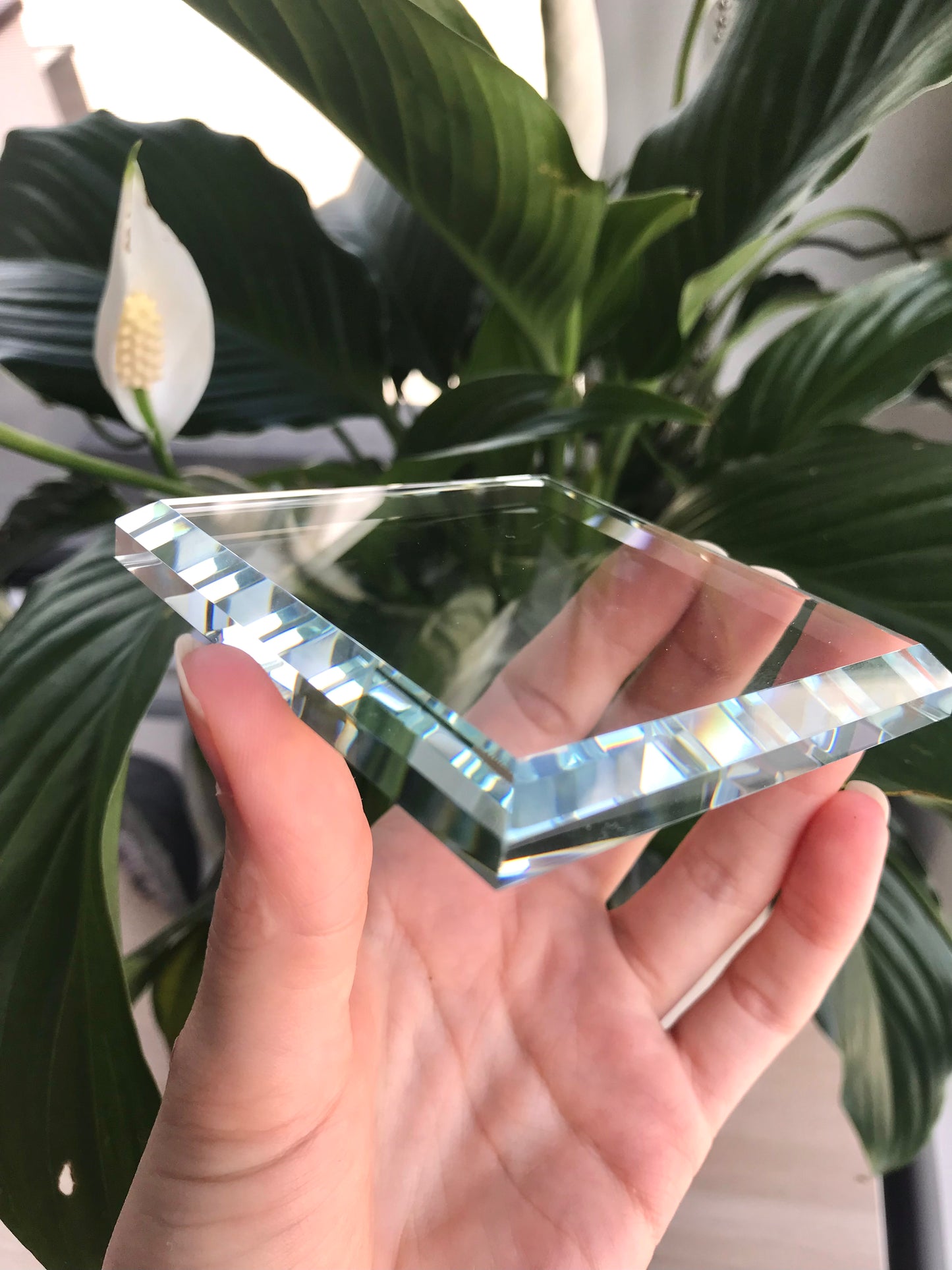Beveled Edge Glass Specimen Stand (Large)