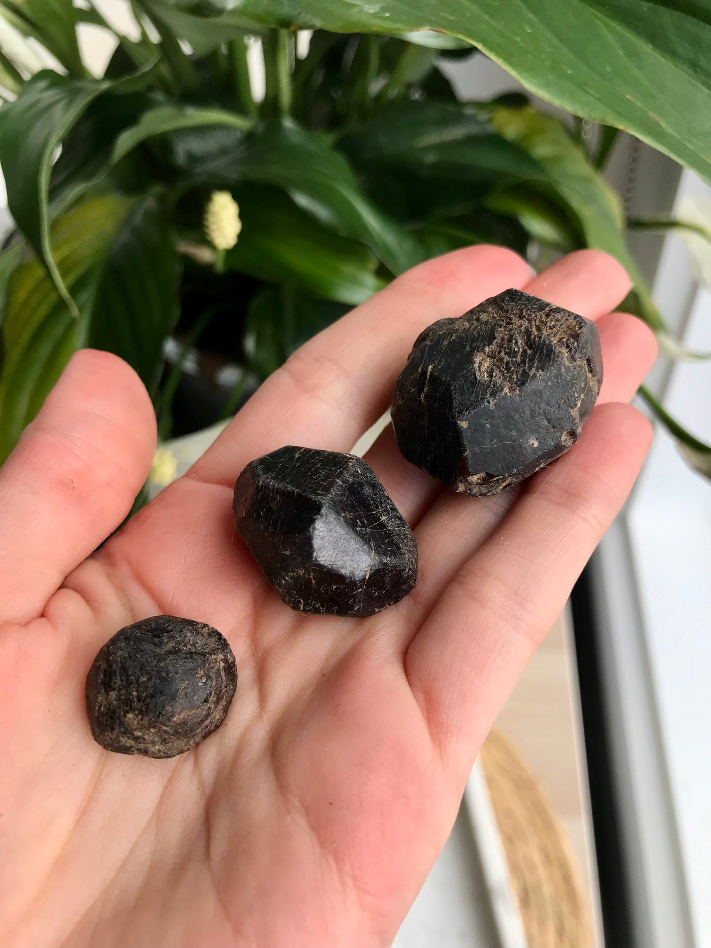 Faceted Raw Garnet Crystals