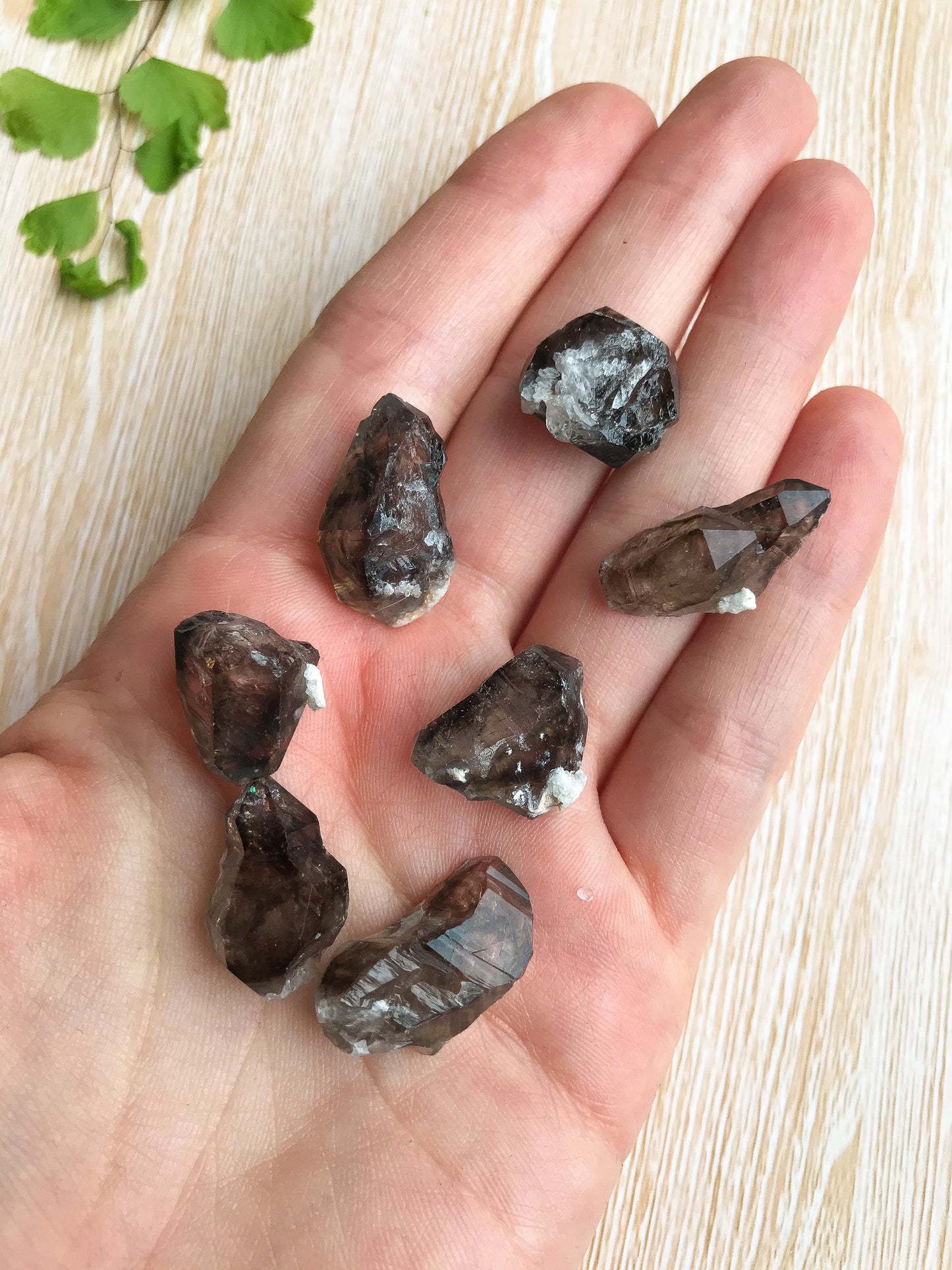 Morella Smokey Quartz Mini Raw Points