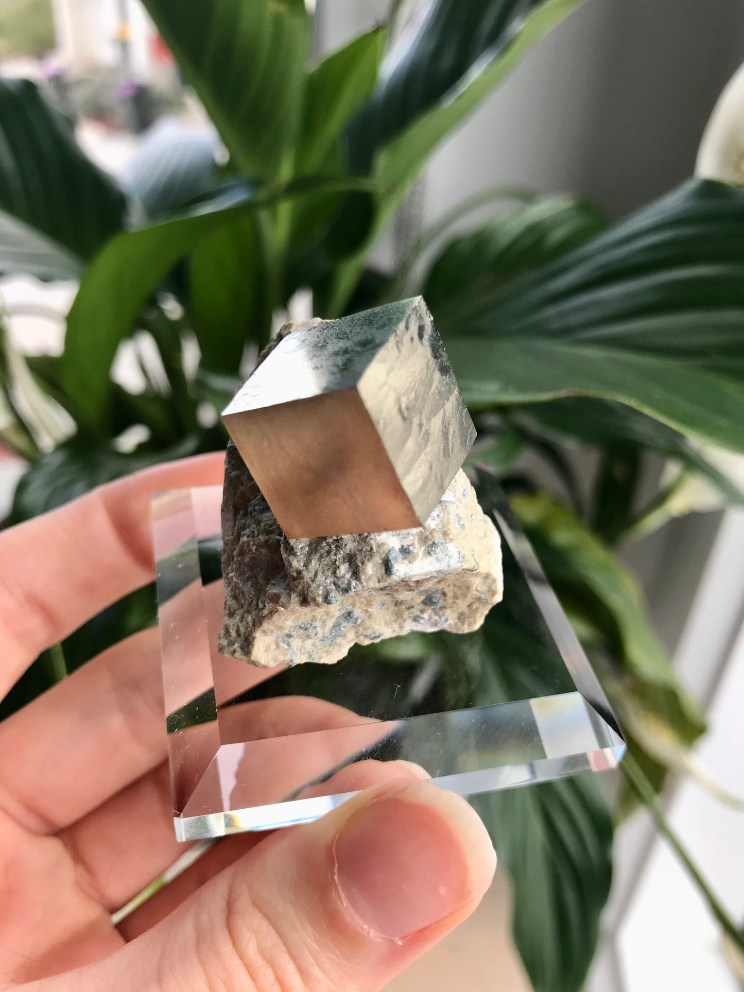 Beveled Edge Glass Specimen Stand (Small)