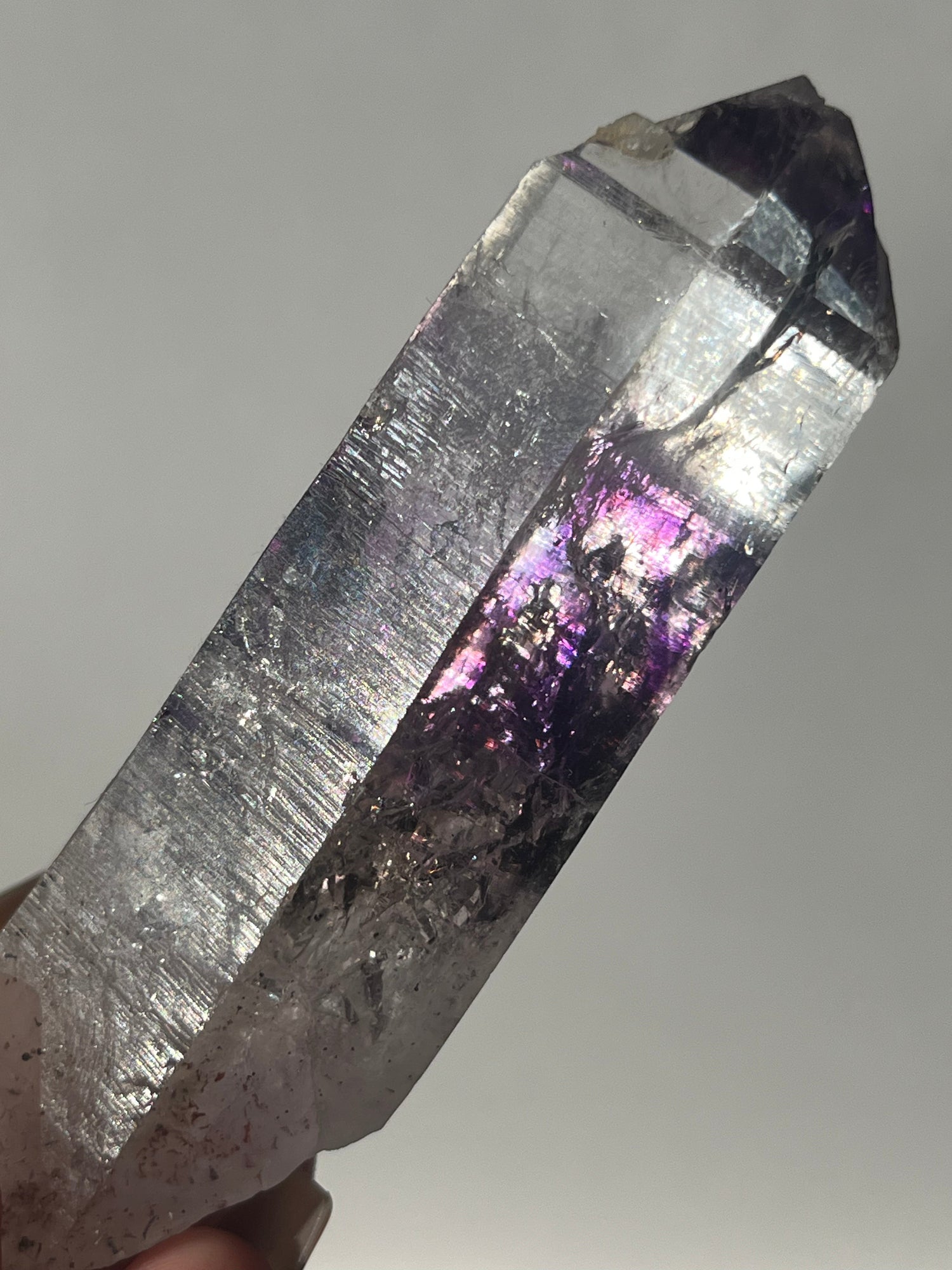 Rare Gems & Uncommon Finds