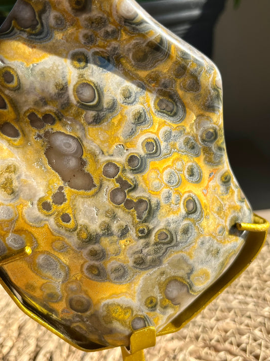 Rare Orbicular Bumblebee Jasper Polished Freeform on Stand #5