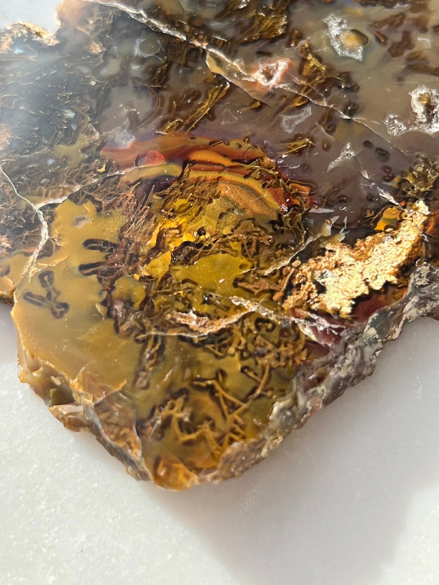 Indonesian Moss in Amber Chalcedony Slab
