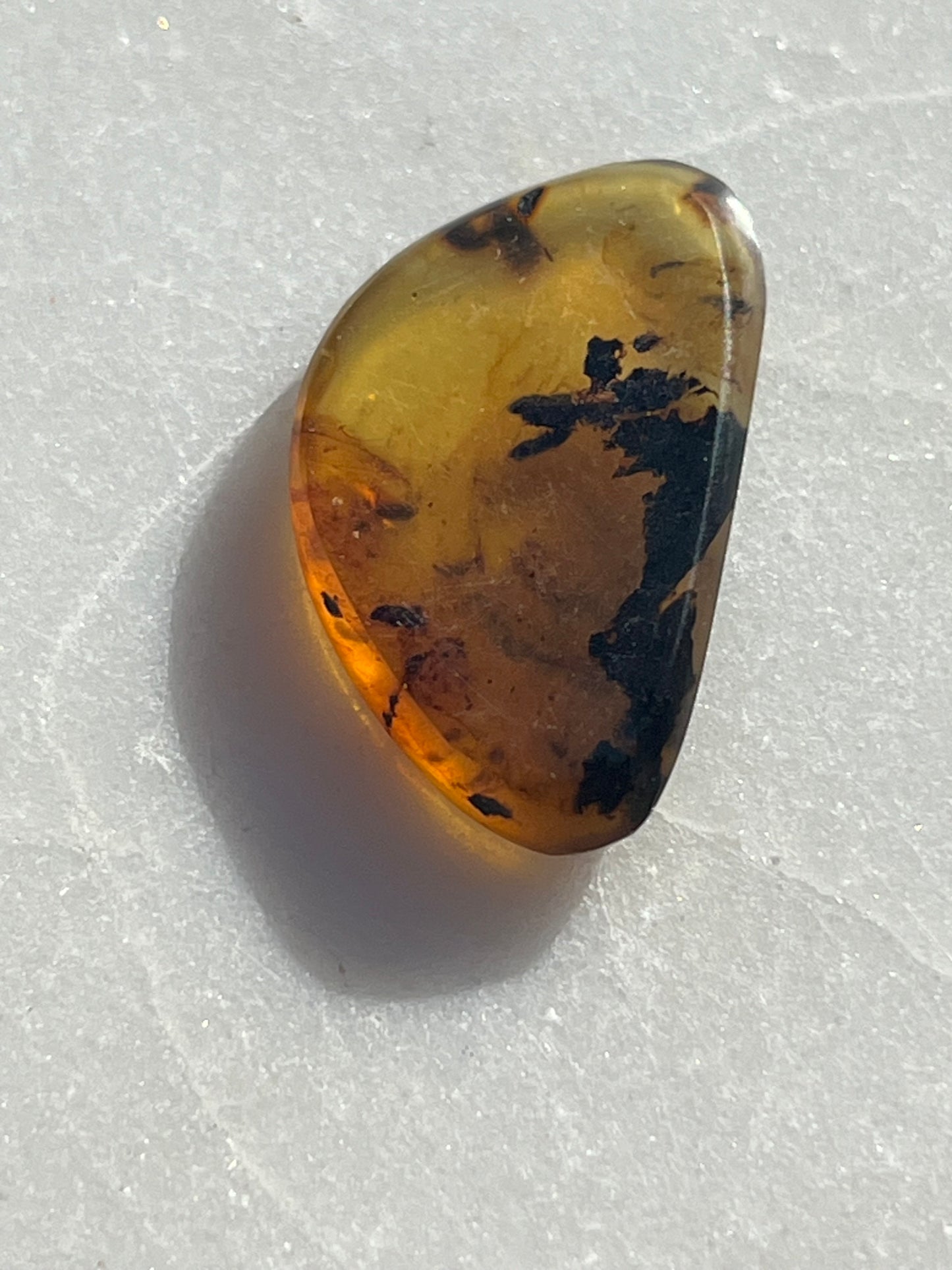 Polished Amber Specimen with Plant and/or Insect Inclusions