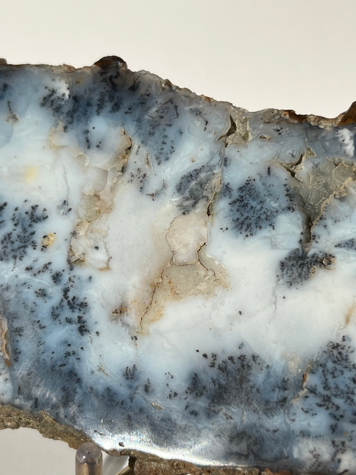 Blue Dendritic Opal Slab A