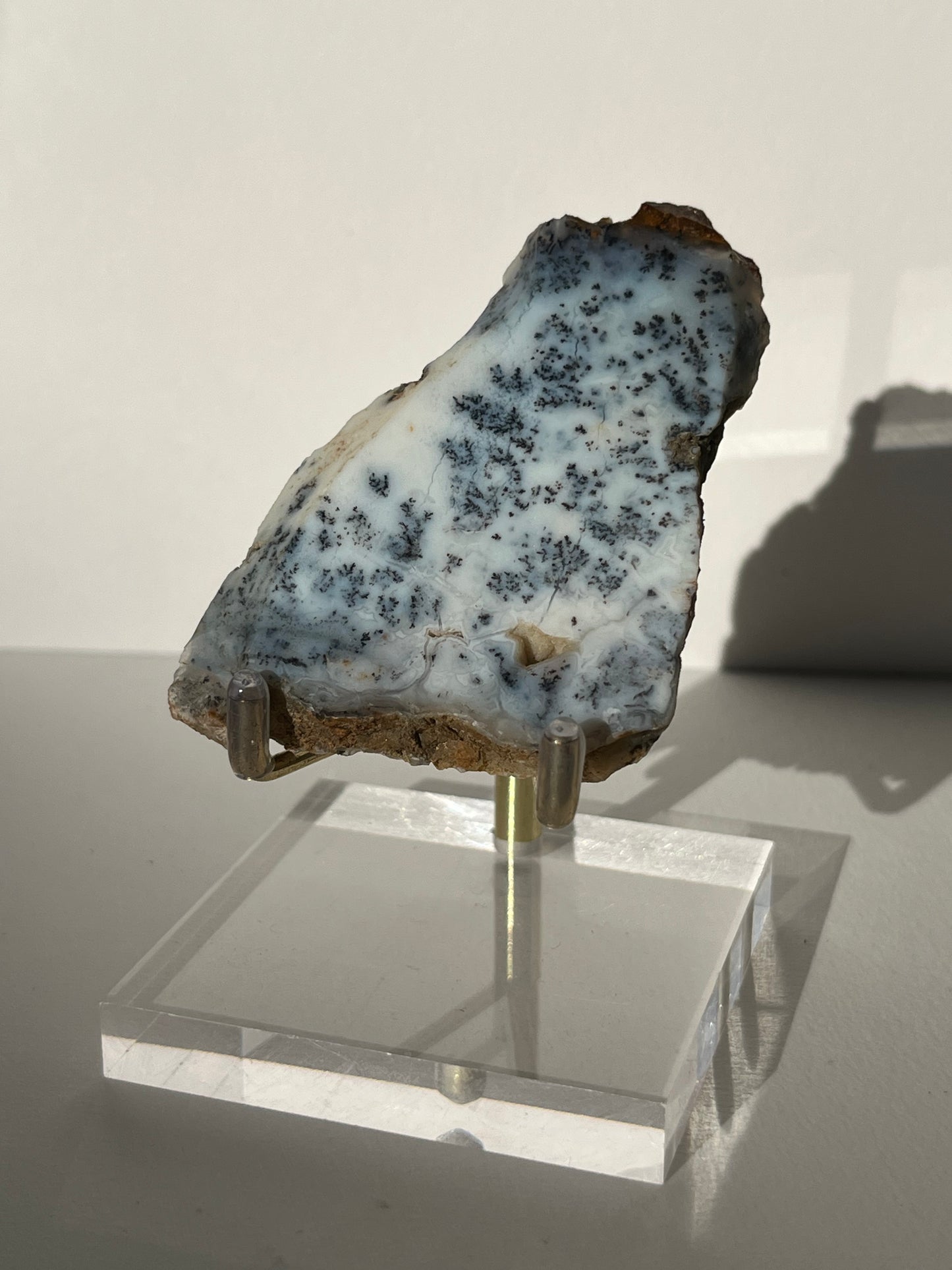 Blue Dendritic Opal Slab F