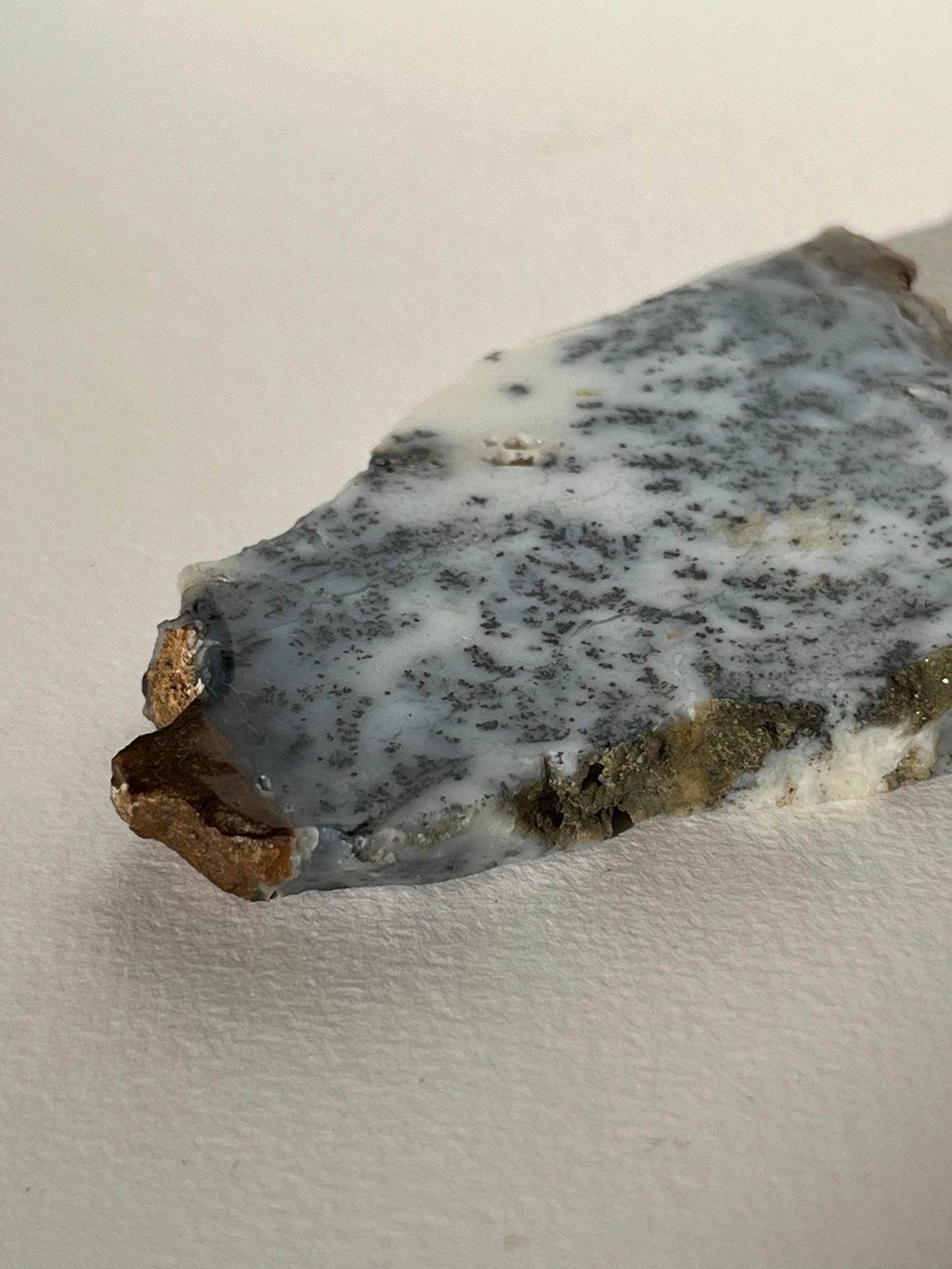 Blue Dendritic Opal Slab F