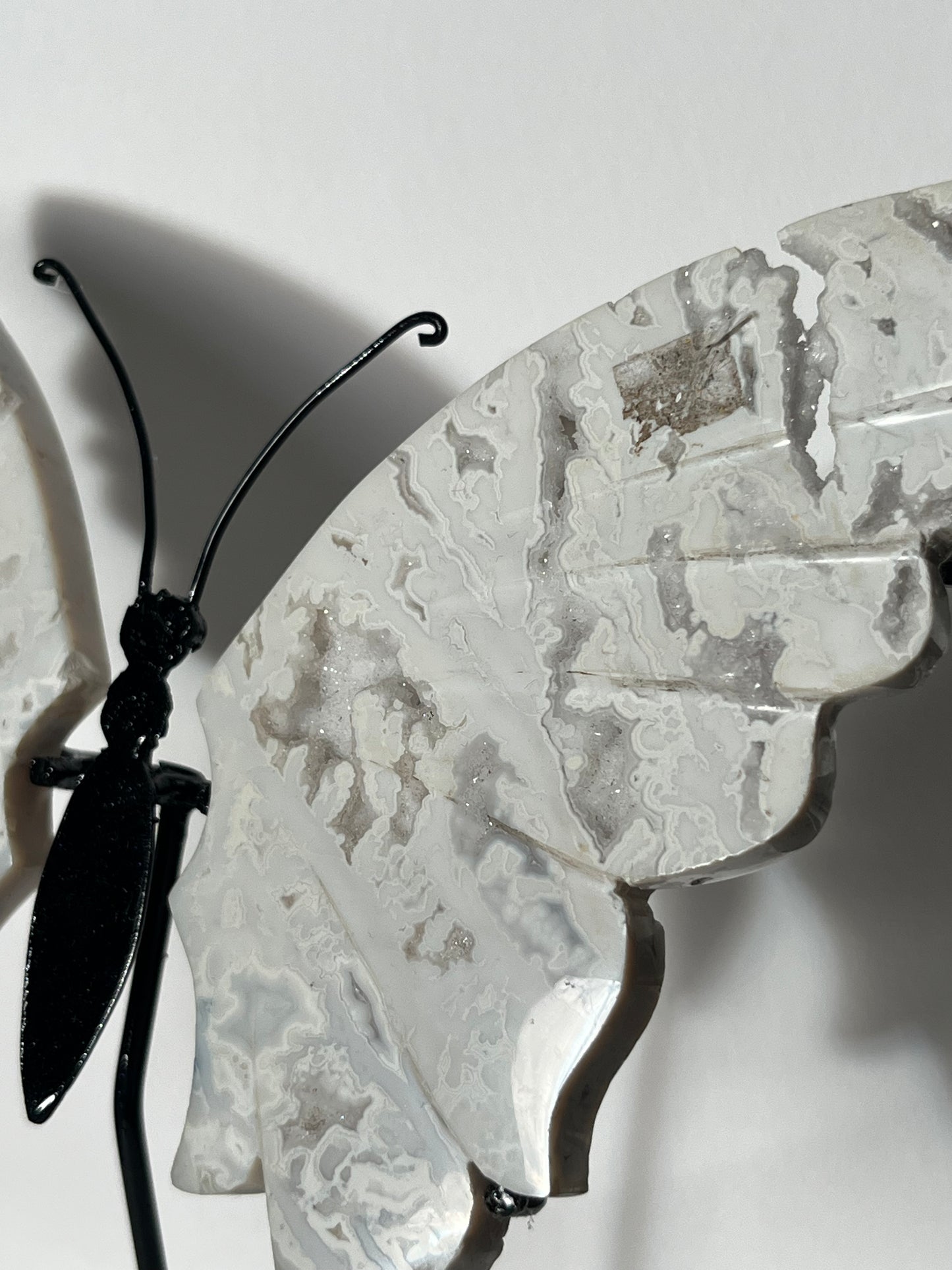 Druzy Snow Agate Butterfly Wings on Stand B