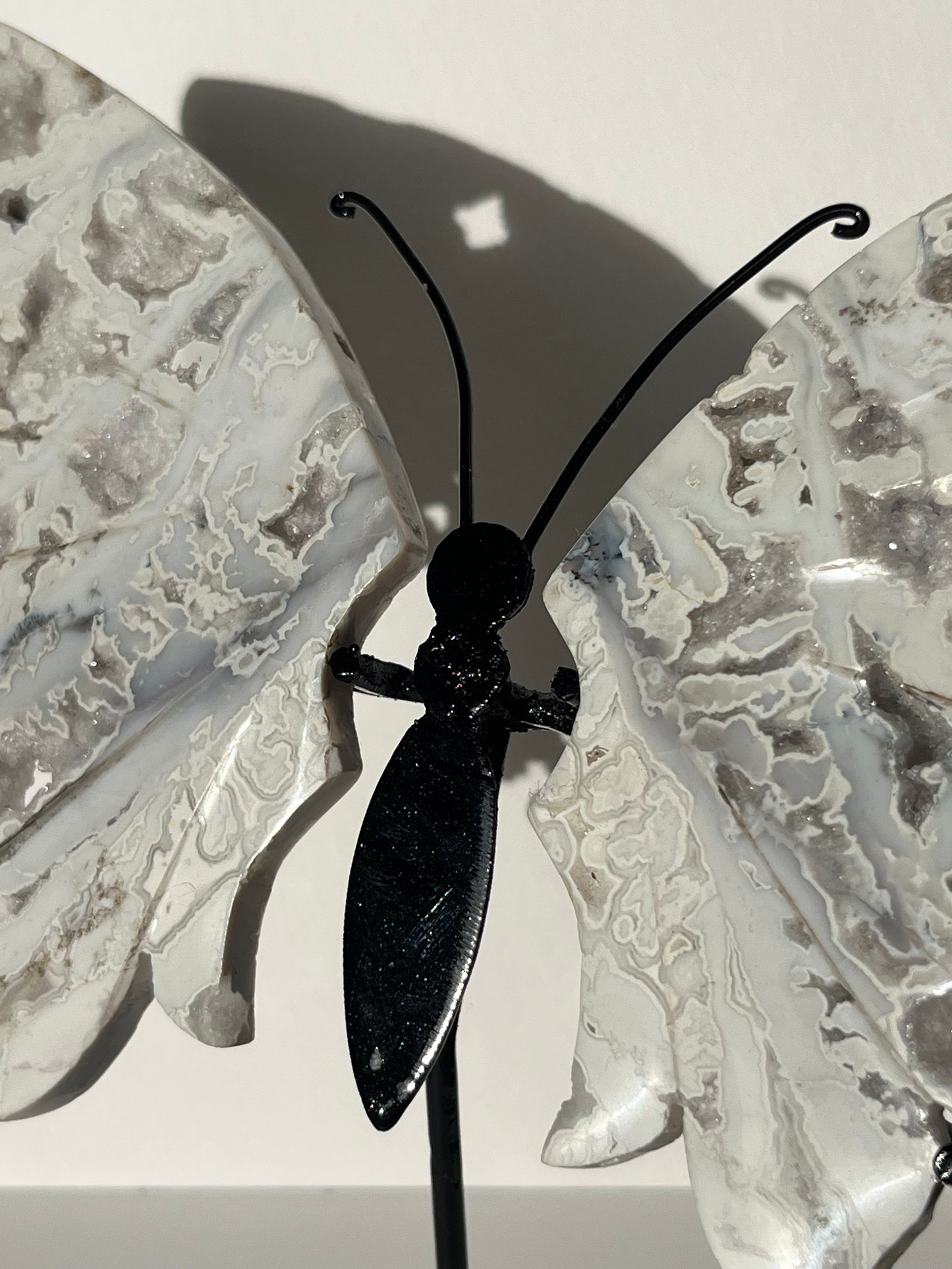 Druzy Snow Agate Butterfly Wings on Stand A