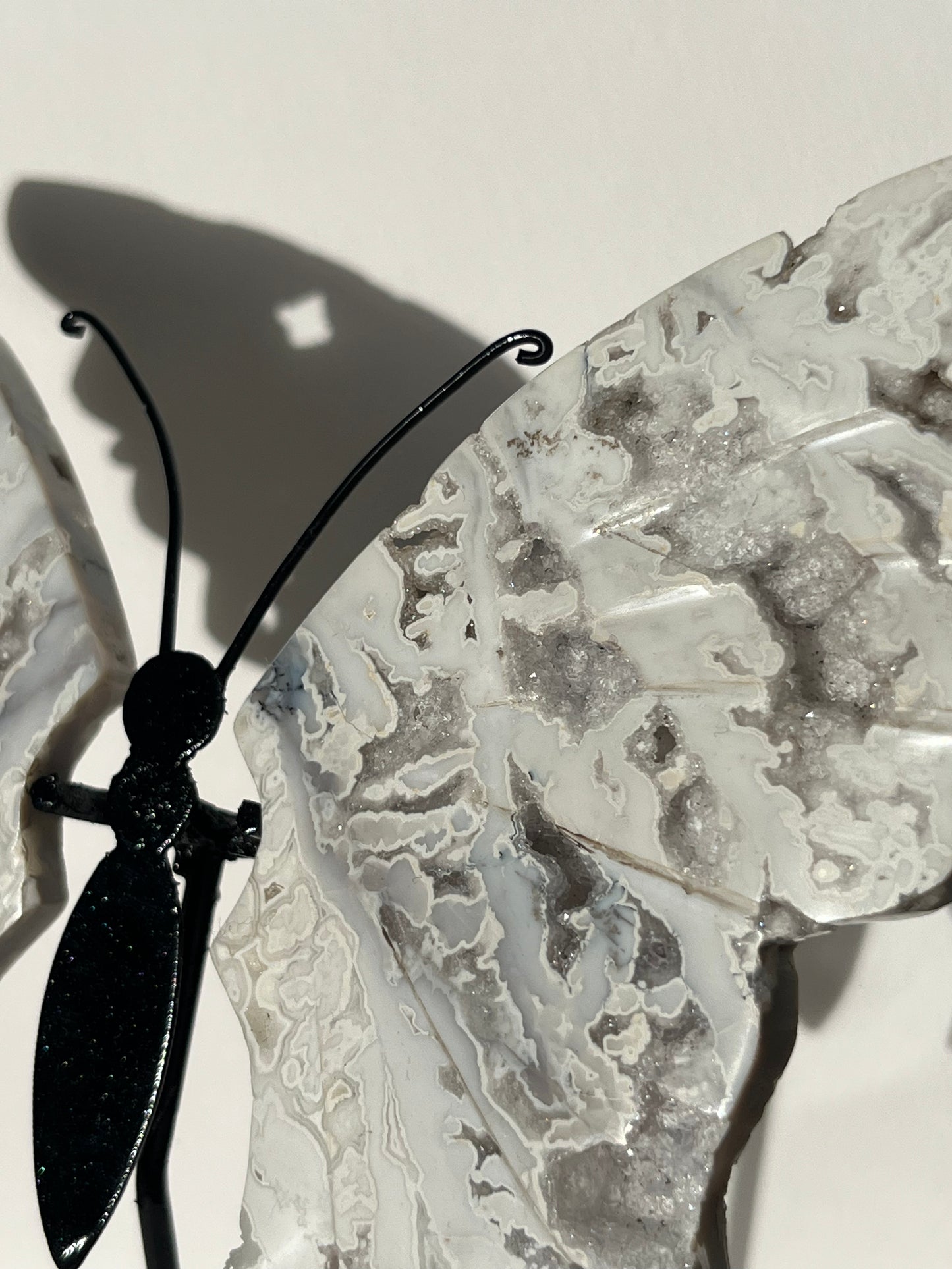 Druzy Snow Agate Butterfly Wings on Stand A