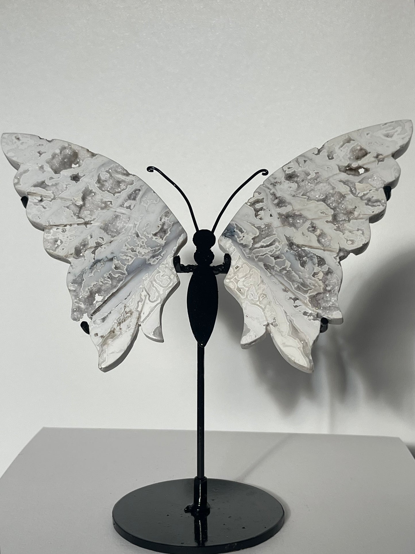 Druzy Snow Agate Butterfly Wings on Stand A