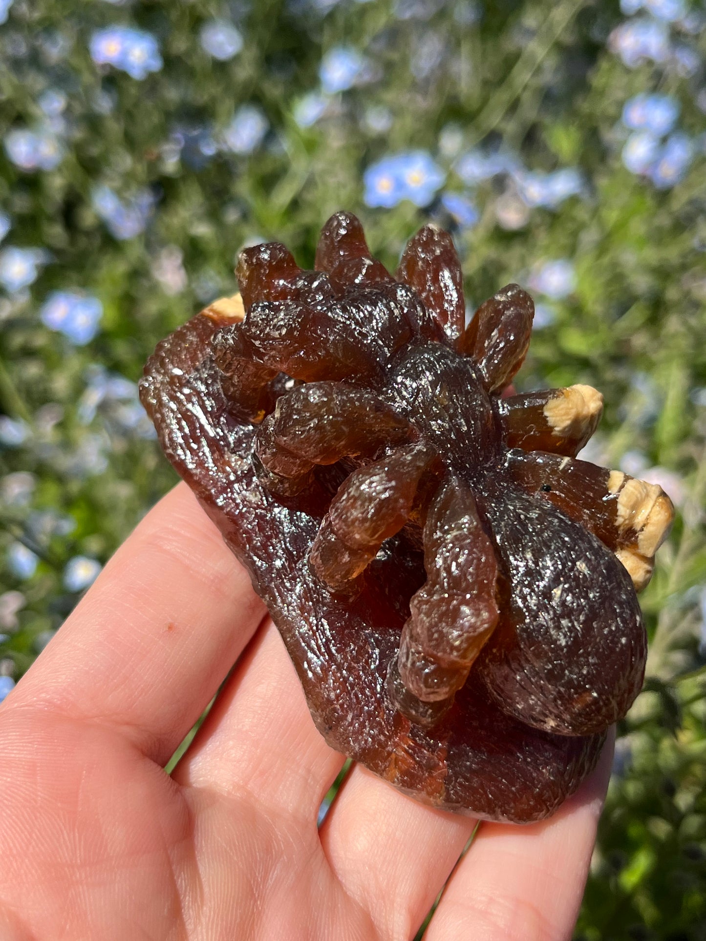 Indonesian Detailed Amber Tarantula Carving (Intuitively Chosen)