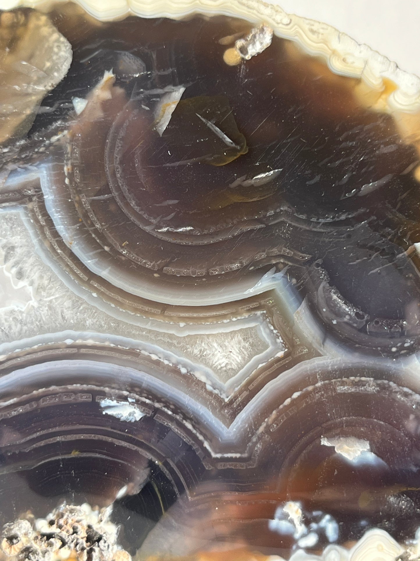 "Ceta" East Indonesian Agate Statement Nodule A