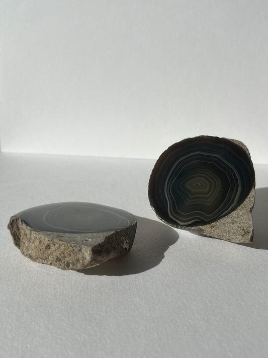 "Wise Eyes" East Indonesian Agate in Situ Host Rock Pair (Collector's Choice)