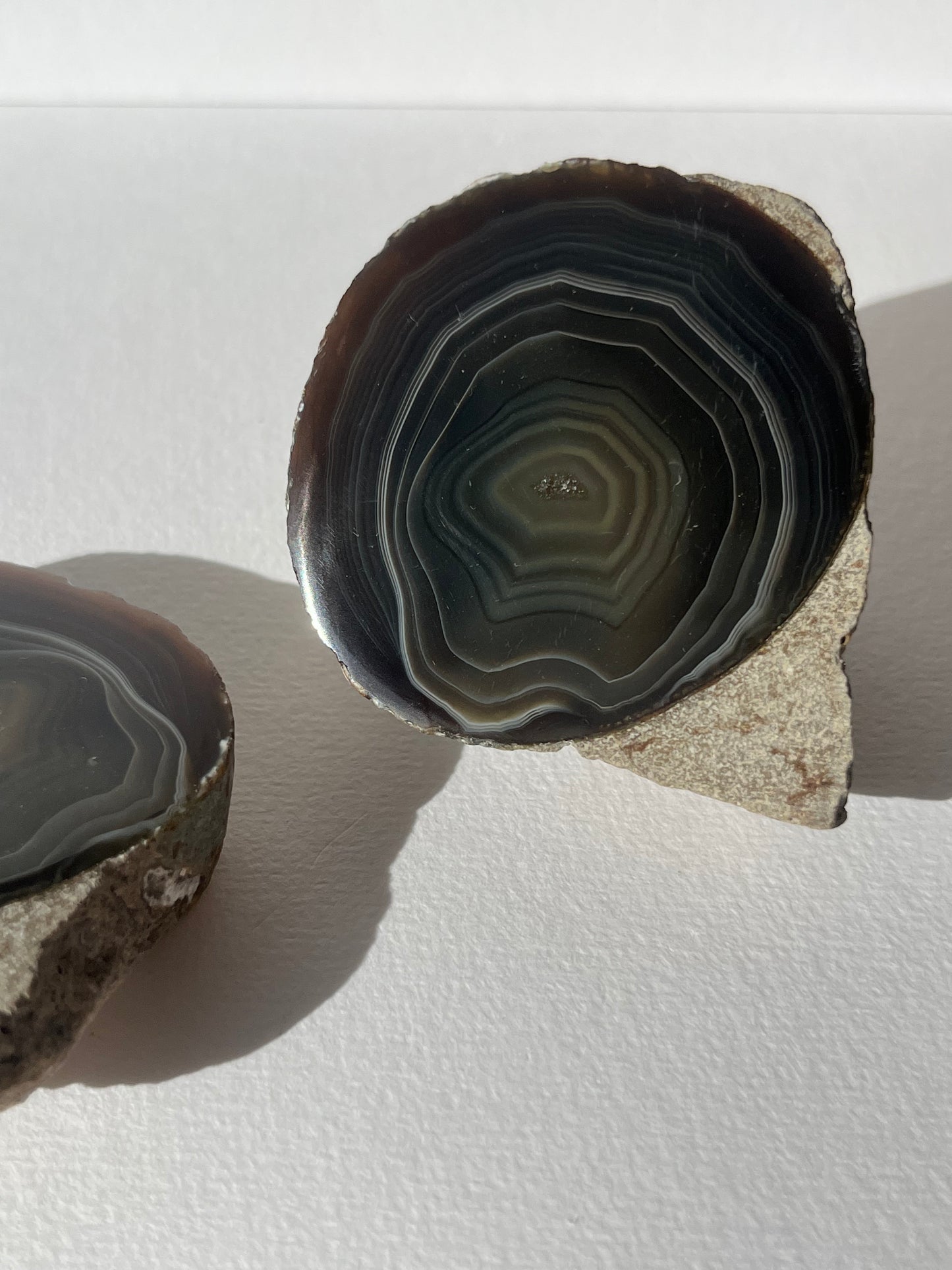 "Wise Eyes" East Indonesian Agate in Situ Host Rock Pair B (Collector's Choice)