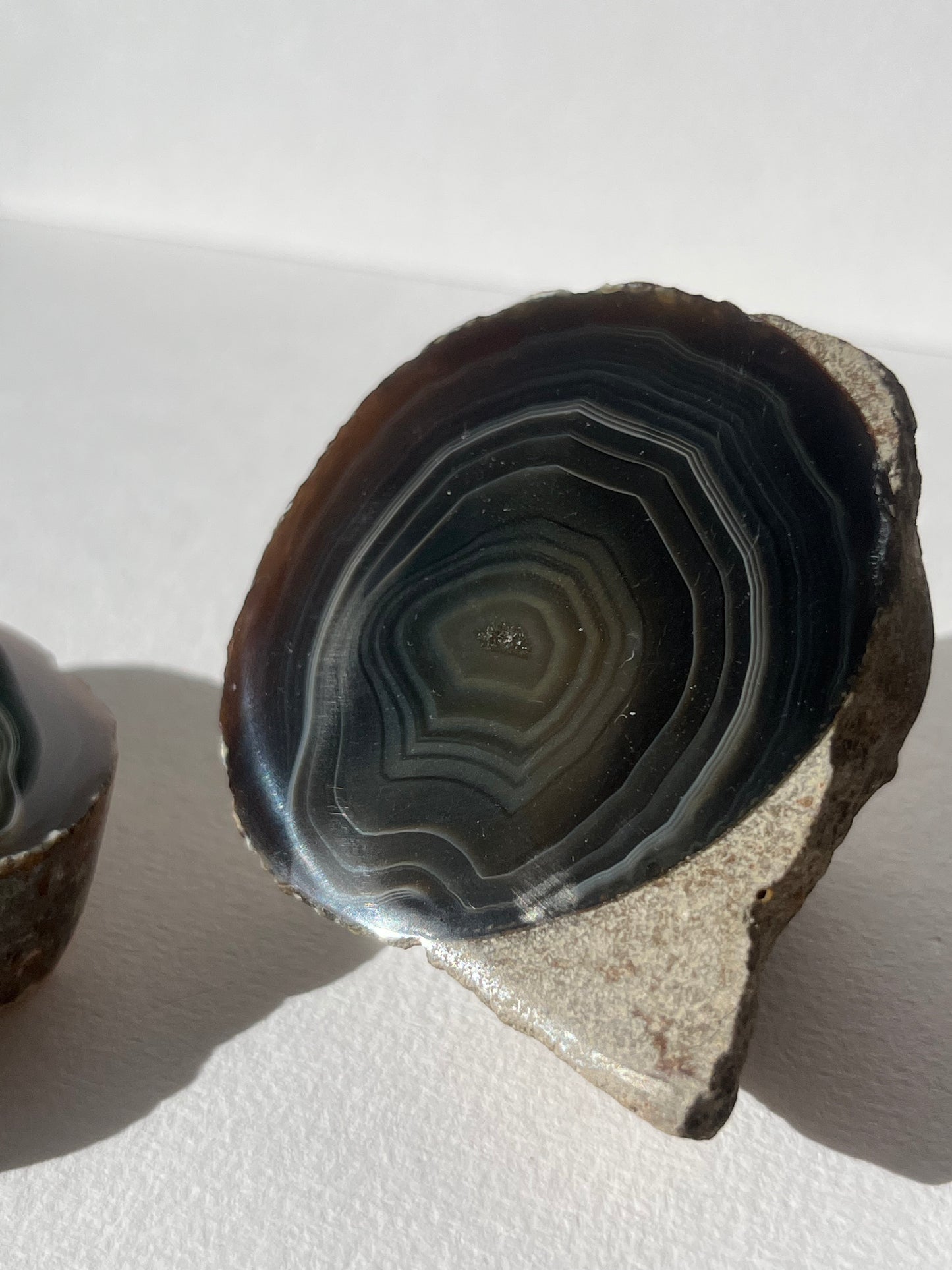 "Wise Eyes" East Indonesian Agate in Situ Host Rock Pair B (Collector's Choice)