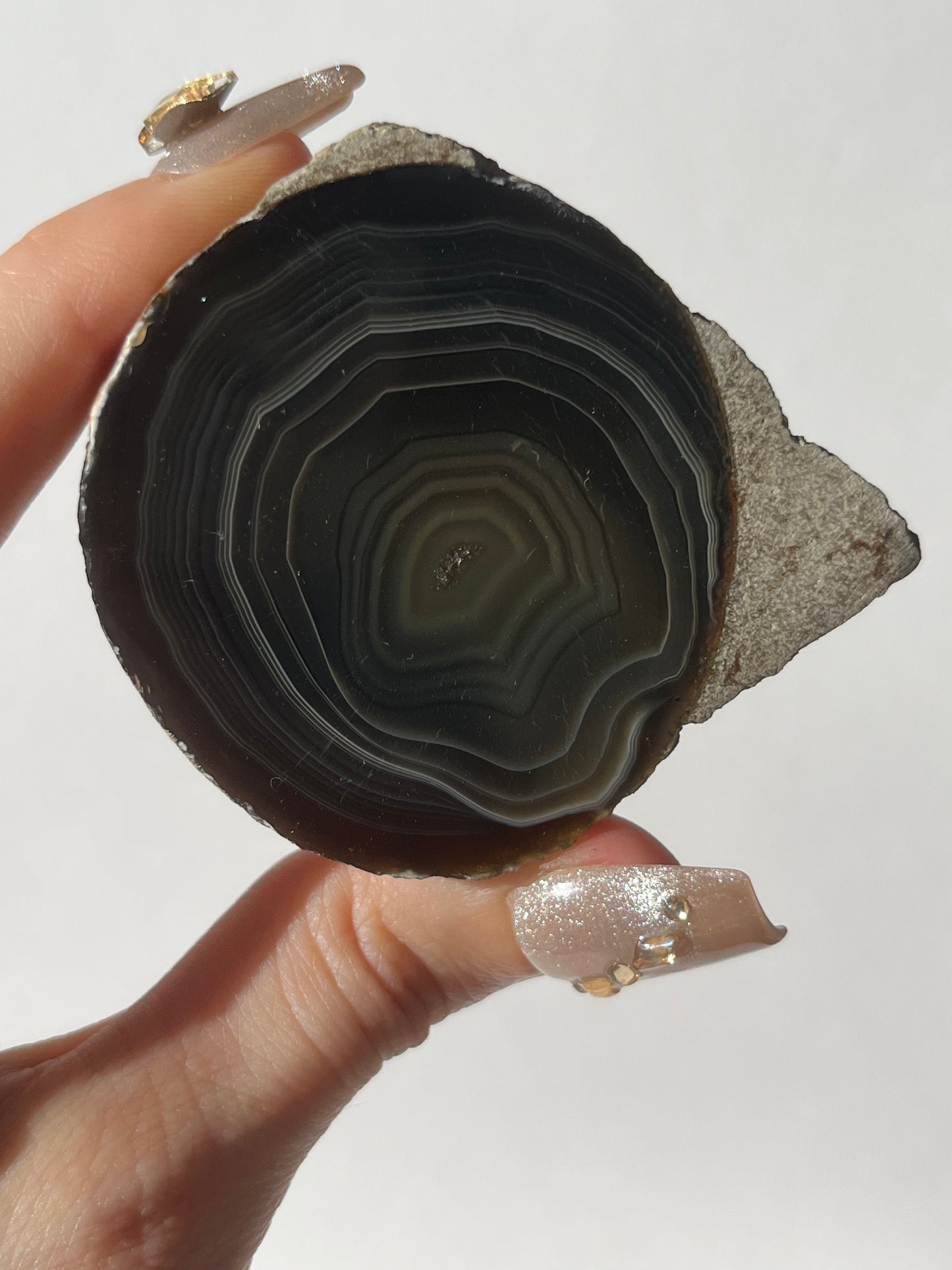 "Wise Eyes" East Indonesian Agate in Situ Host Rock Pair B (Collector's Choice)