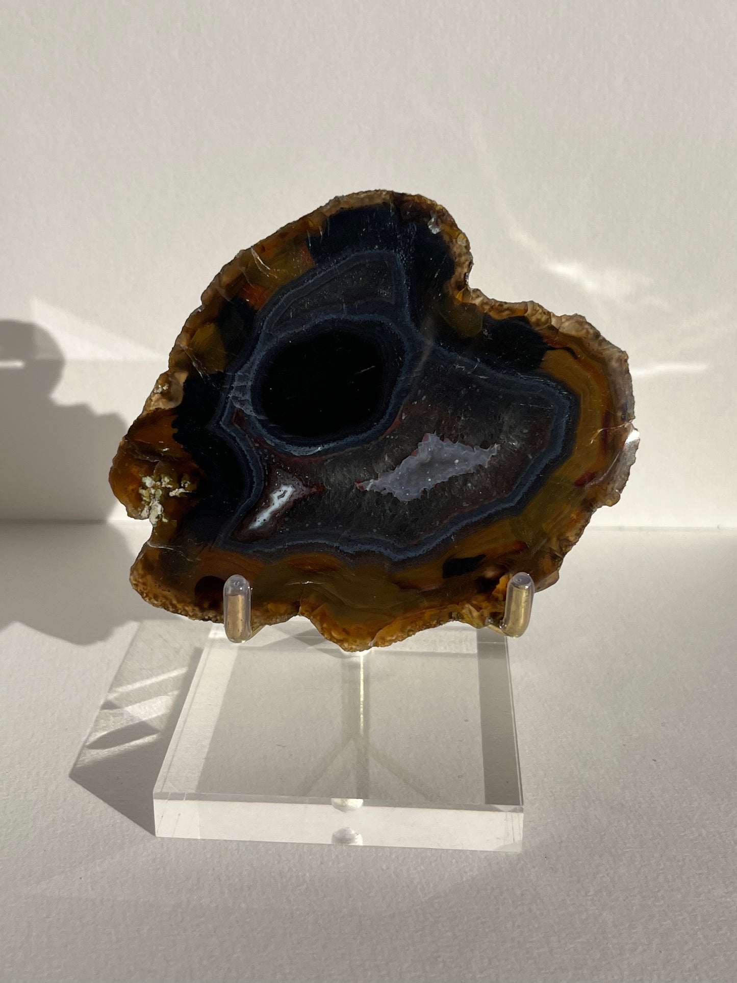 “Event Horizon” East Indonesian Agate Specimen D