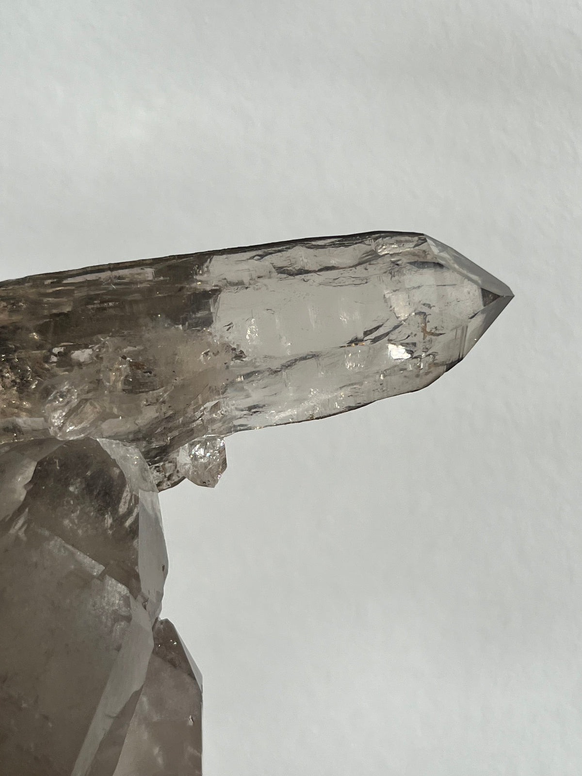 Himalayan Smokey Quartz with Siderite Inclusions and Self Healed Elestial Features H