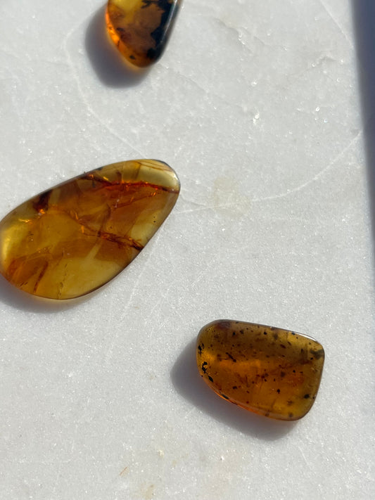 Polished Amber Specimen with Plant and/or Insect Inclusions