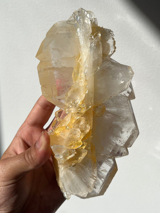 “The Luminous Axis” Golden Healer Faden Quartz Specimen A