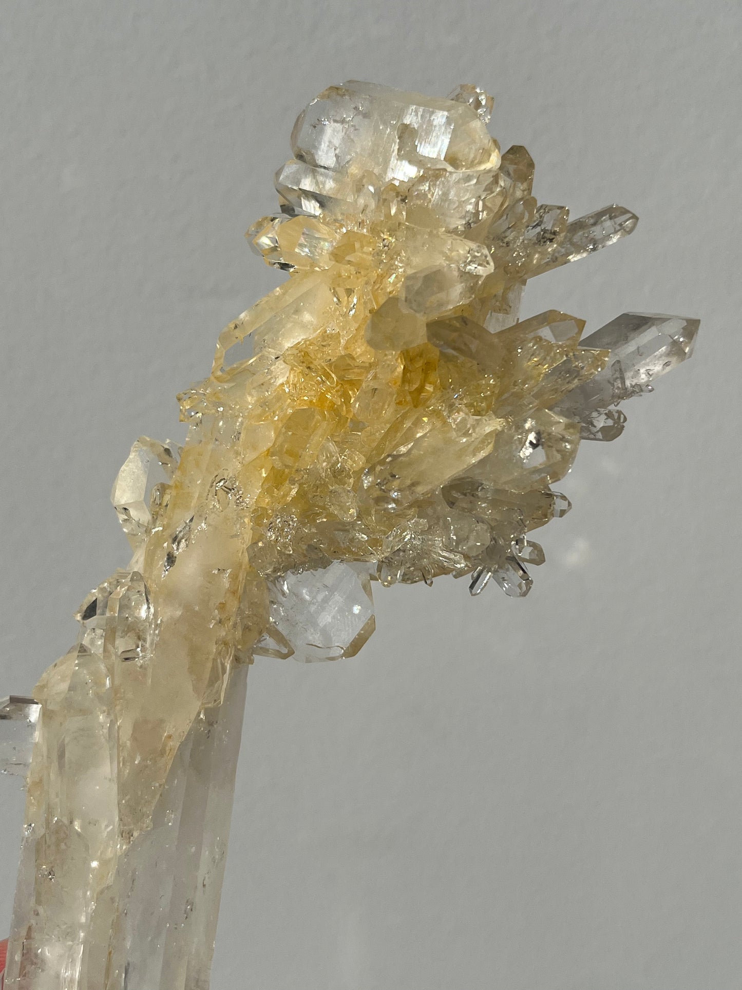 “The Helios Bloom” Golden Healer Faden Quartz Specimen B