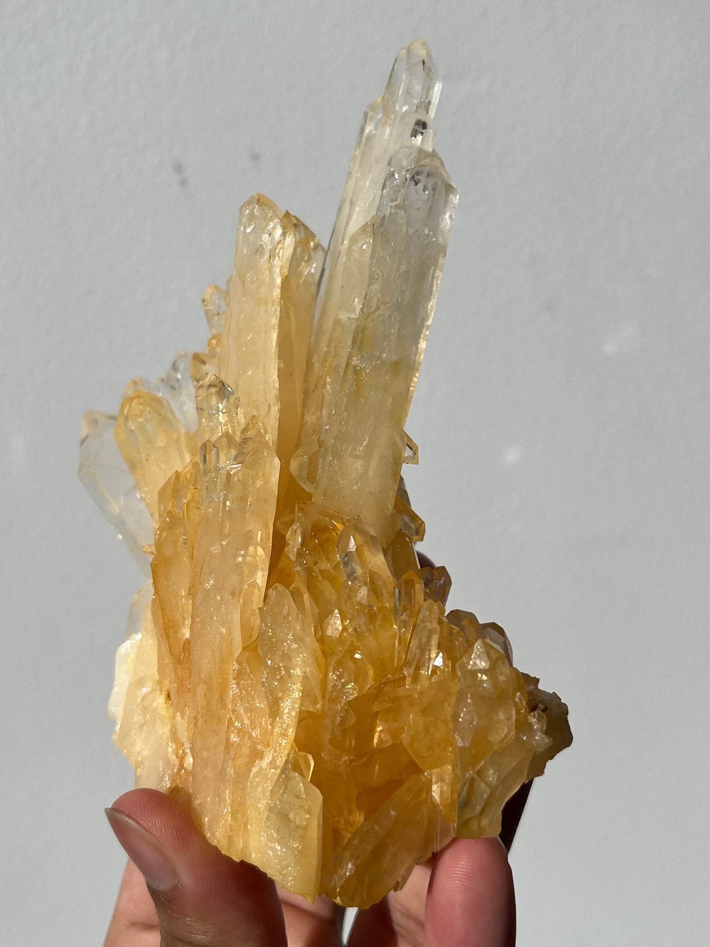 “Helios' Crown” Golden Healer Faden Quartz Specimen H