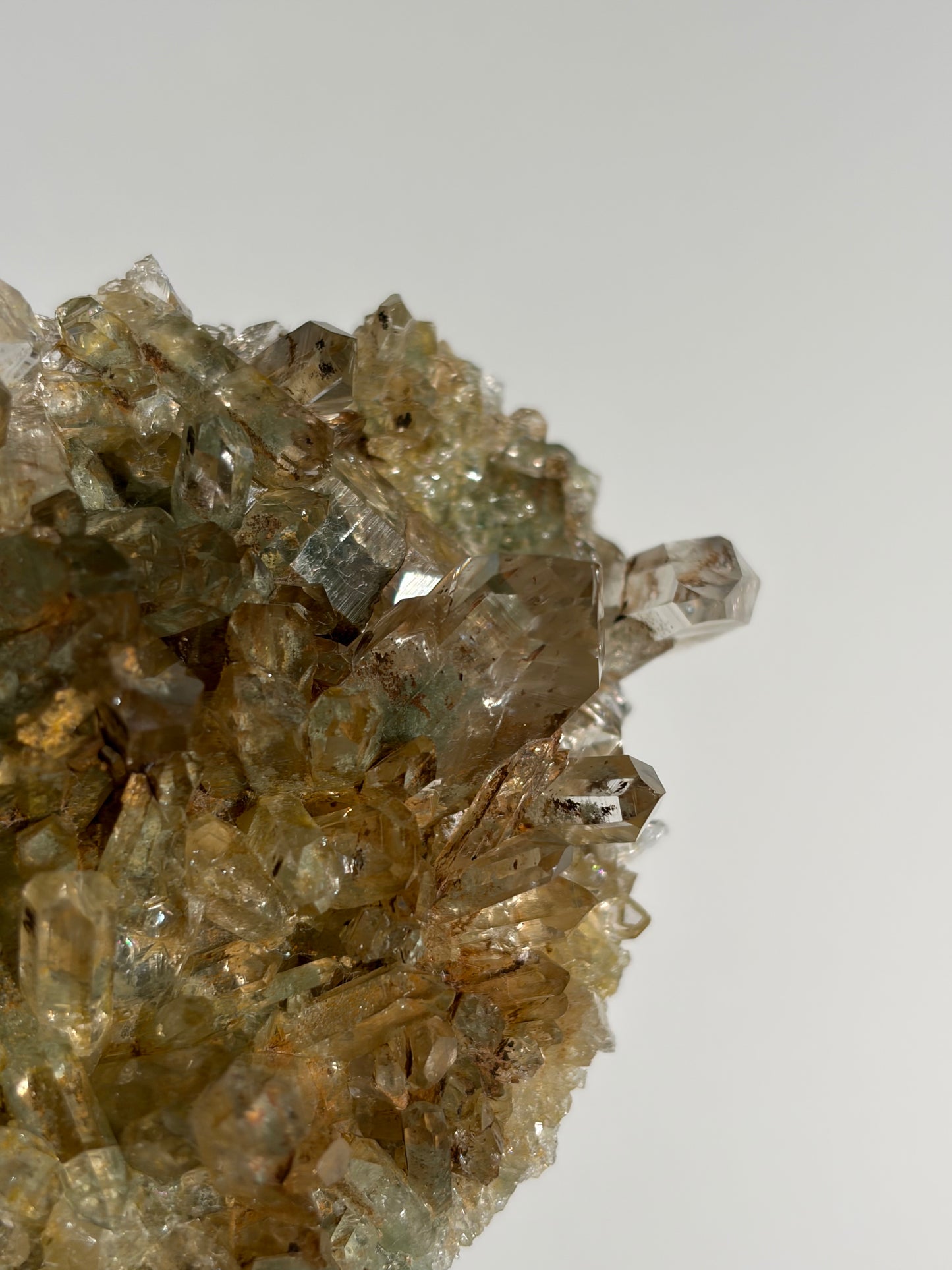 Golden Healer Chlorite Included Quartz Specimen F