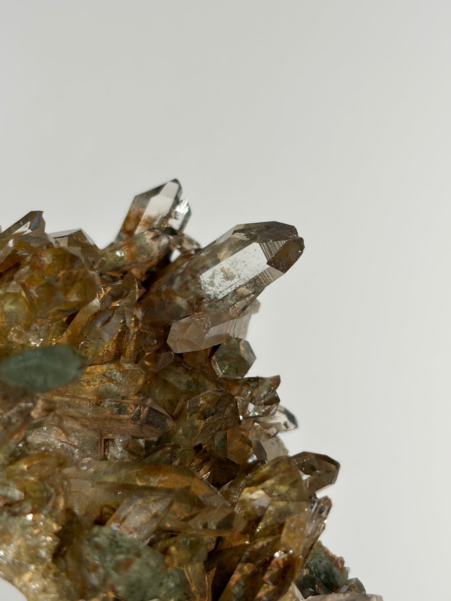 Water Clear Golden Healer Chlorite Included Quartz Specimen G