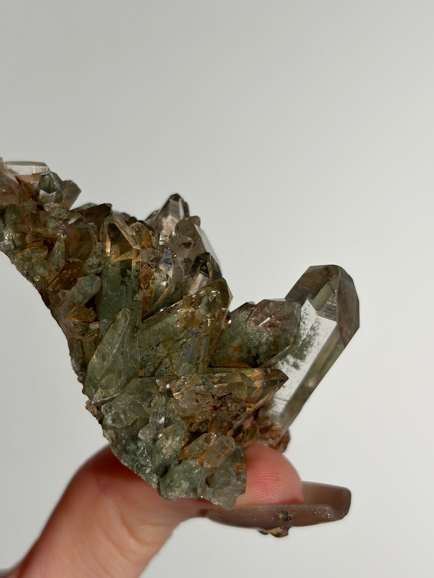 Water Clear Golden Healer Chlorite Included Quartz Specimen I