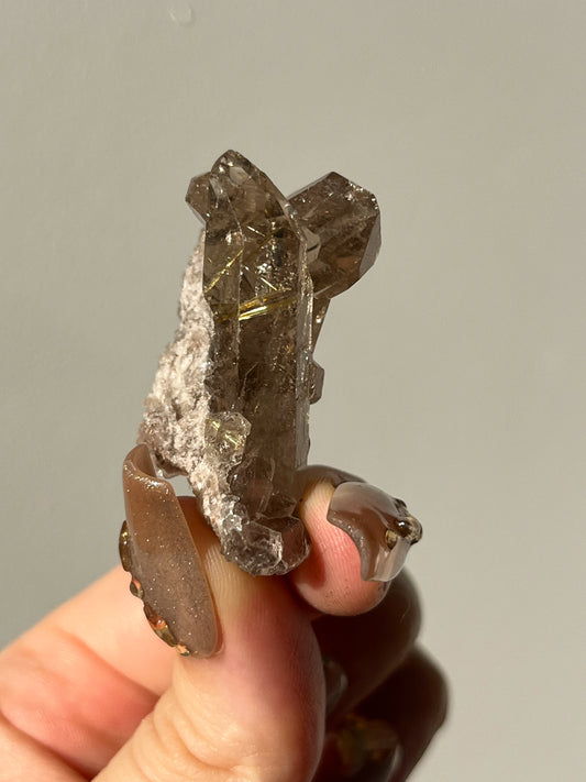 Golden Rutile in Quartz Specimen #D