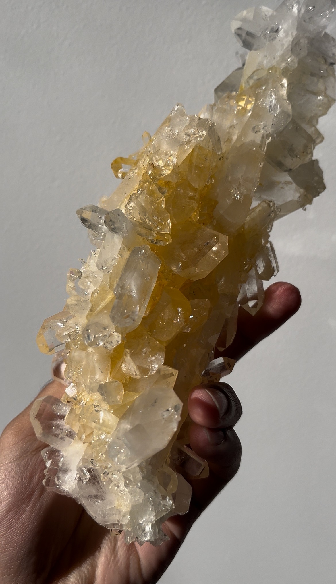 “Celestial Spine” Golden Healer Faden Quartz Specimen