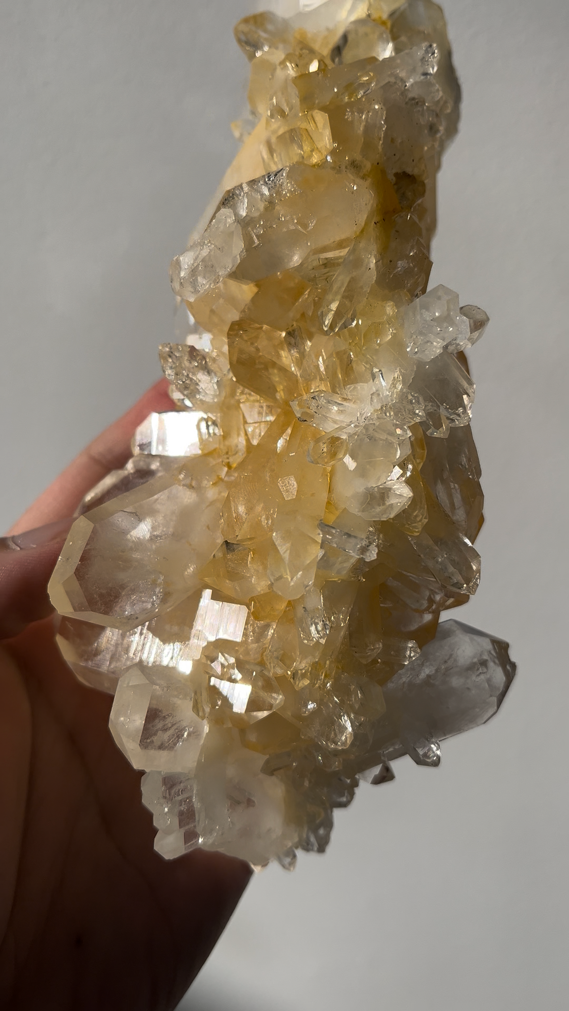 “Celestial Spine” Golden Healer Faden Quartz Specimen