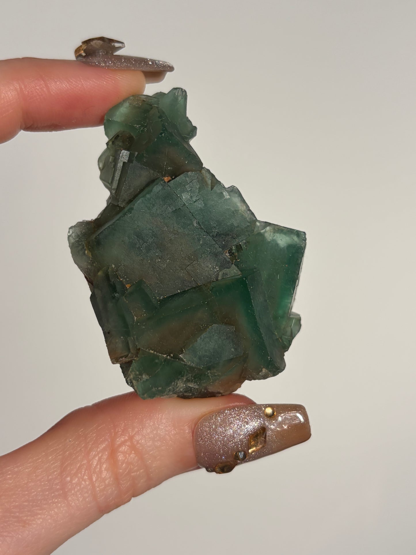 Halo Garden Fluorite Specimen B