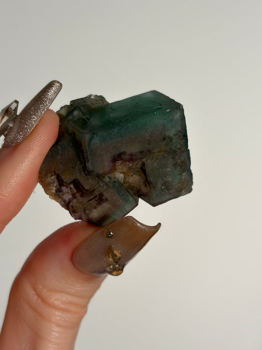Halo Garden Fluorite Specimen C