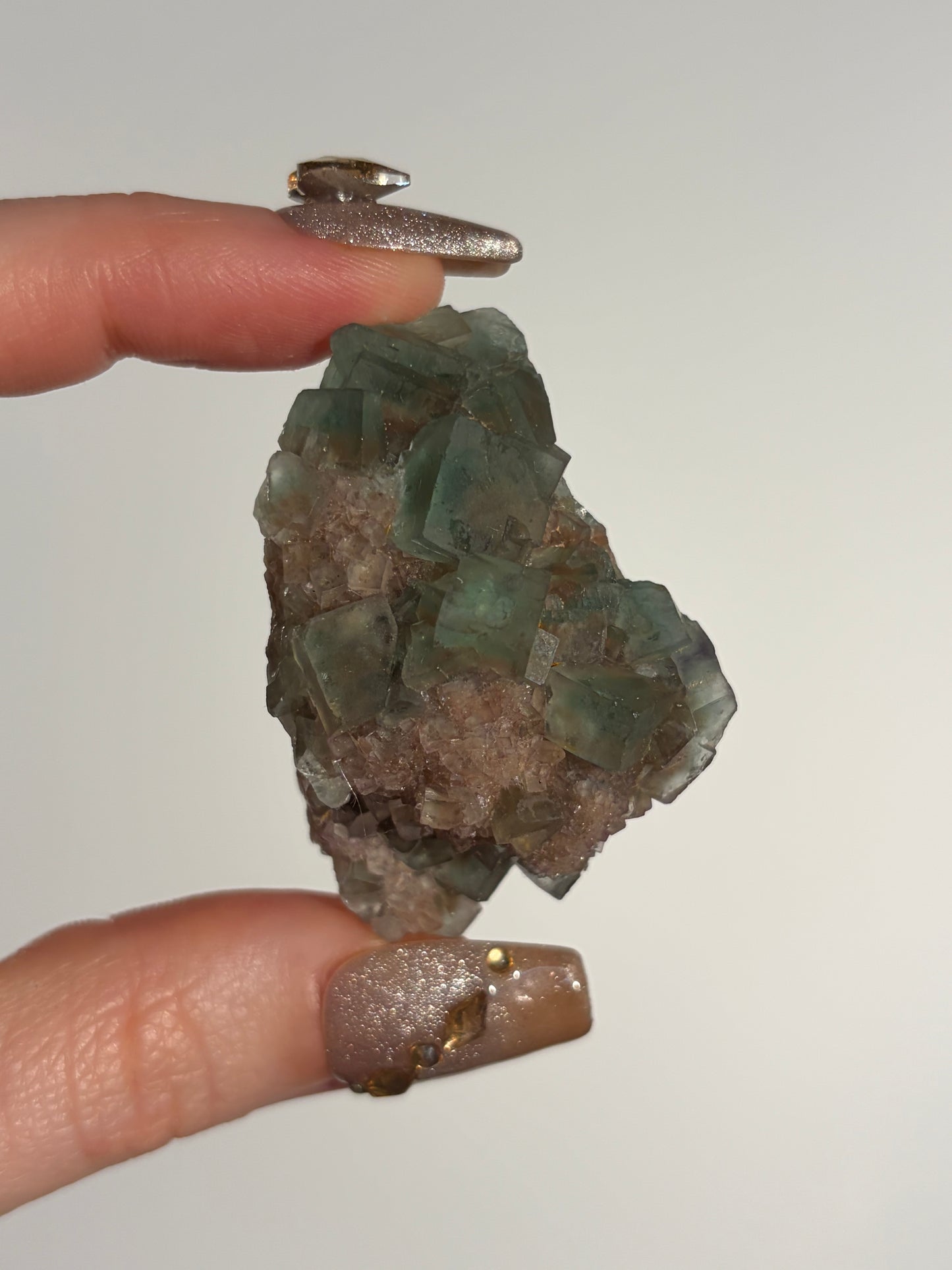 Halo Garden Fluorite Specimen G
