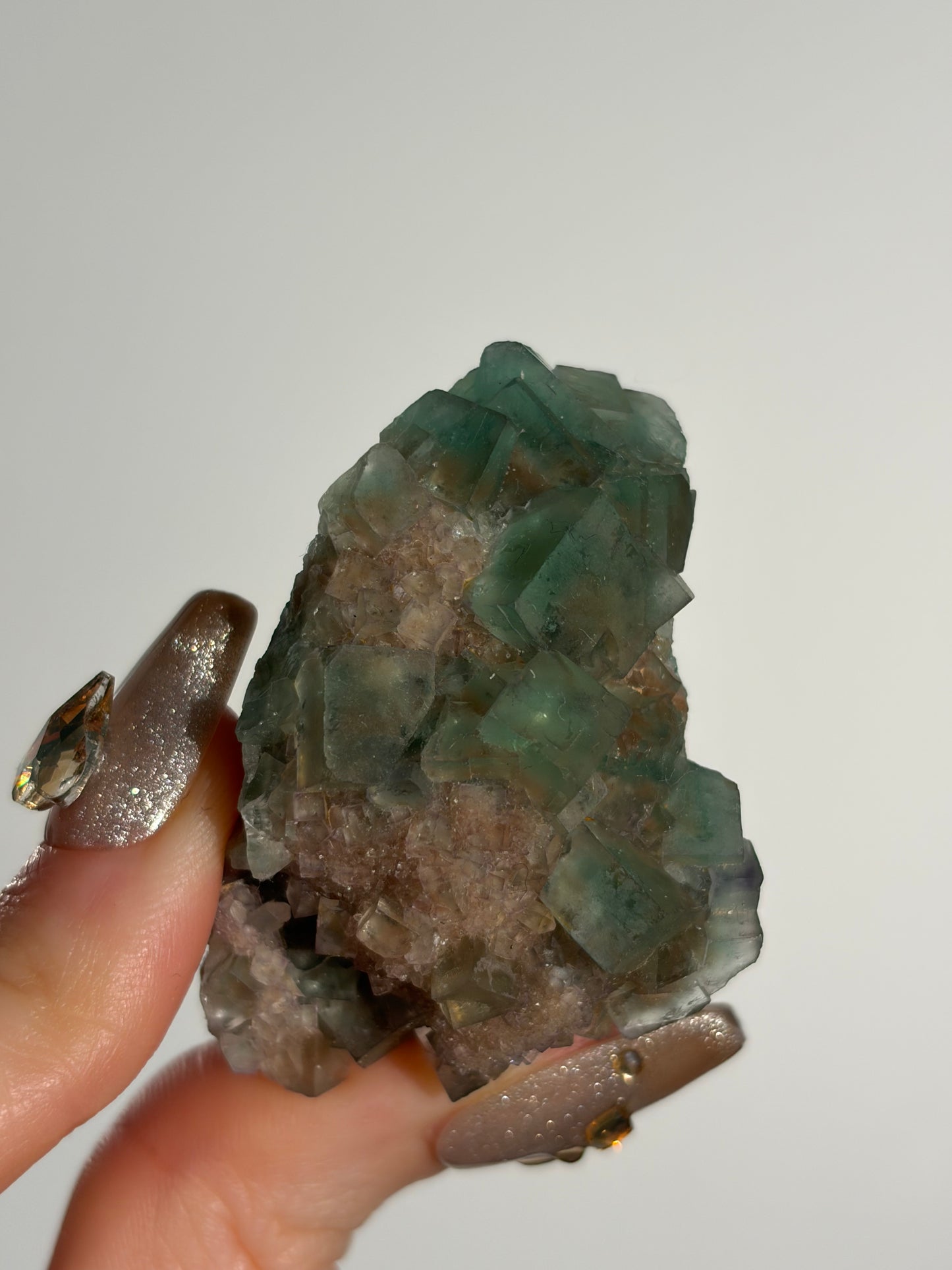 Halo Garden Fluorite Specimen G