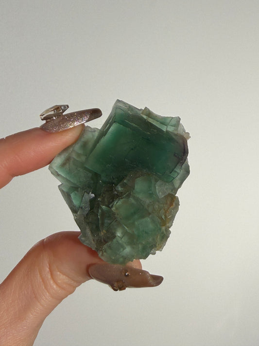 Halo Garden Fluorite Specimen H